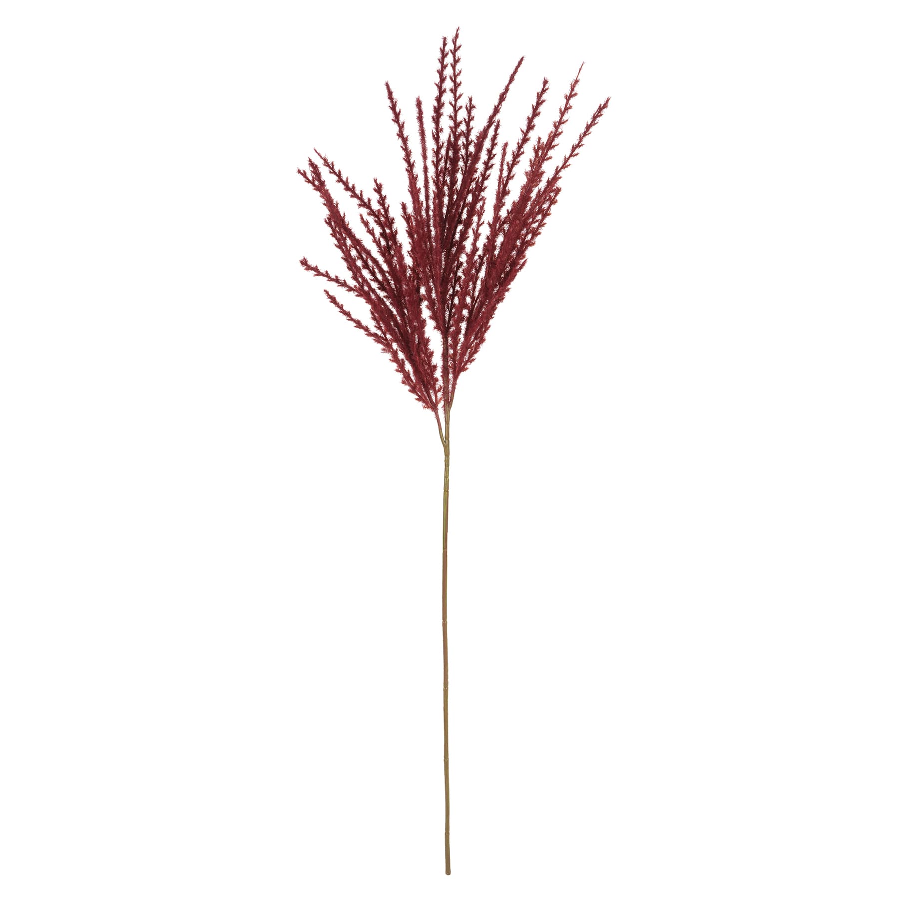 12 Pack: 31" Burgundy Pampas Grass Stem by Ashland®