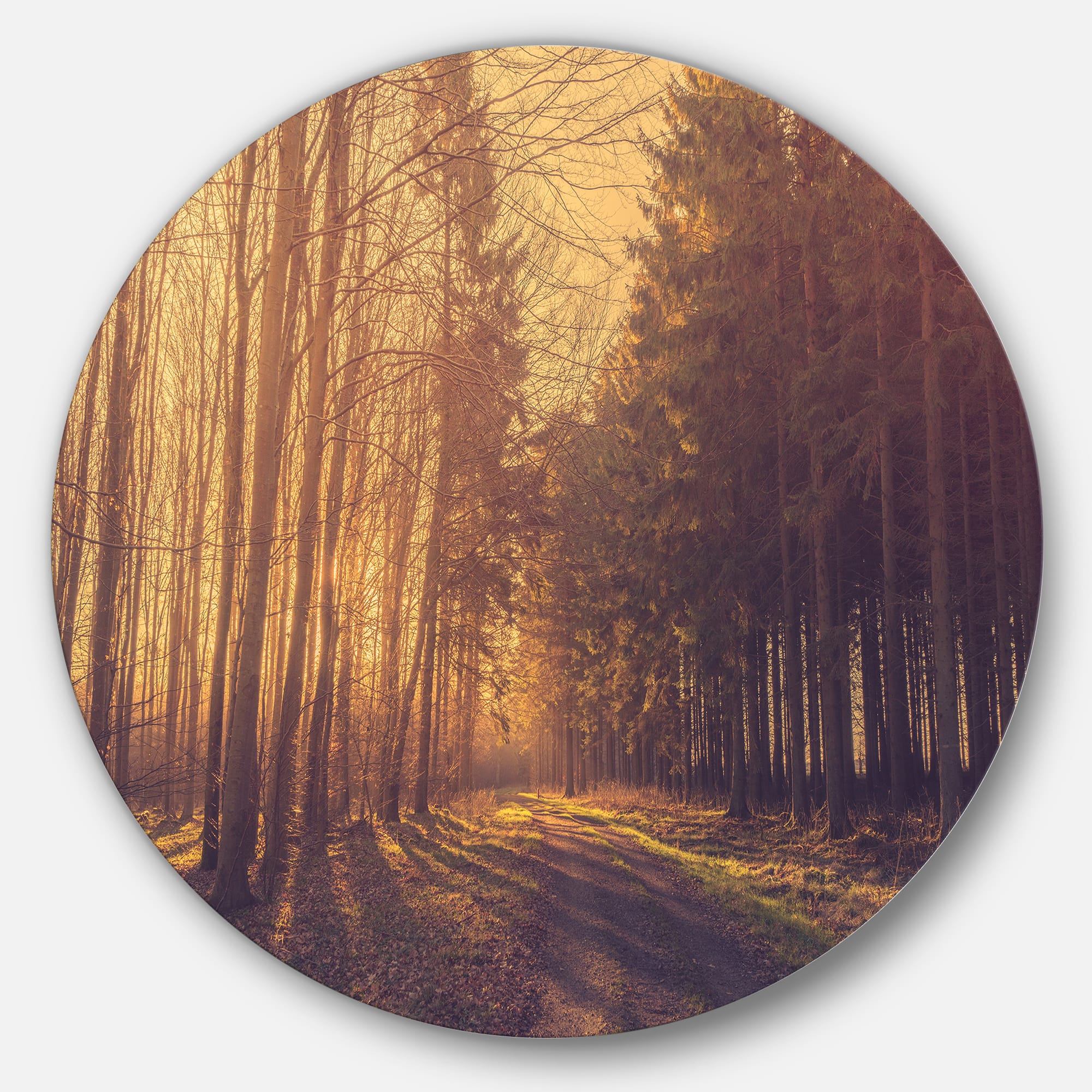 Designart - Pine Tree Forest by Road&#x27; Landscape Photo Circle Metal Wall Art