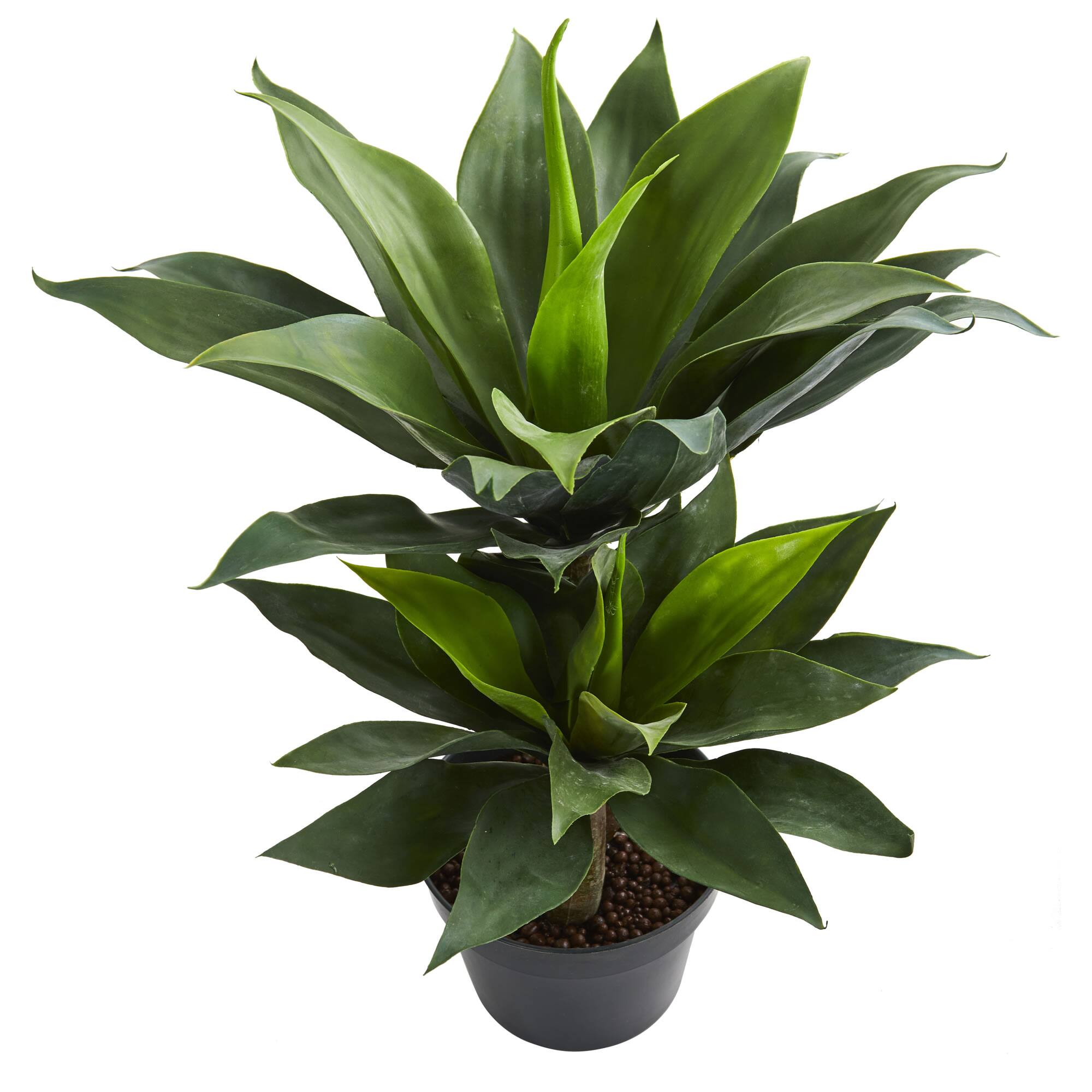2.4ft. Potted Double Agave Succulent Artificial Plant Michaels
