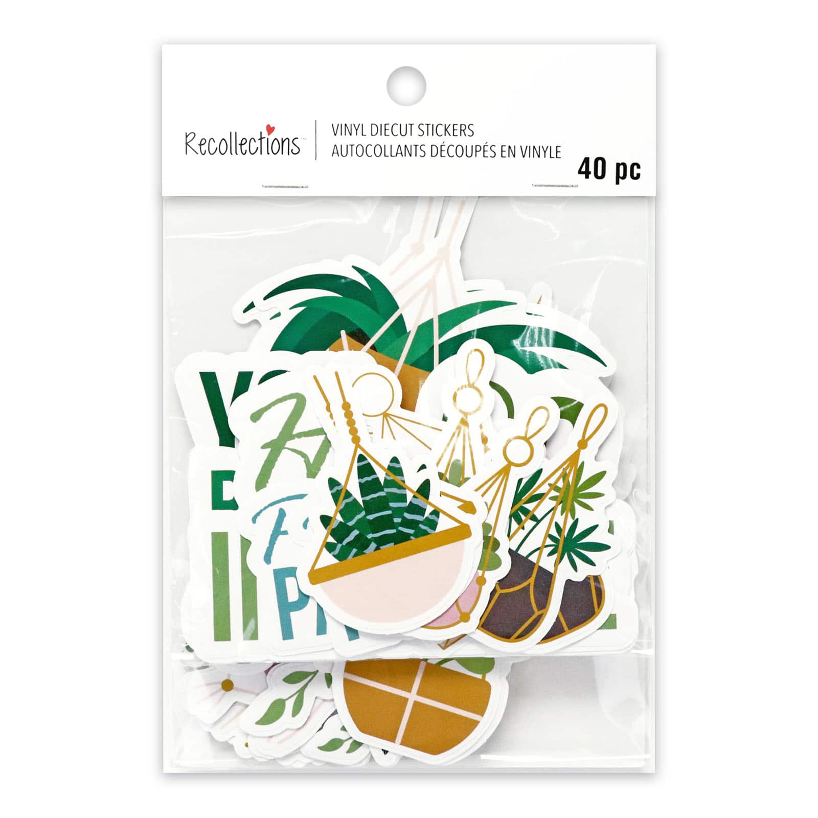 House Plants Vinyl Die Cut Stickers by Recollections&#x2122;