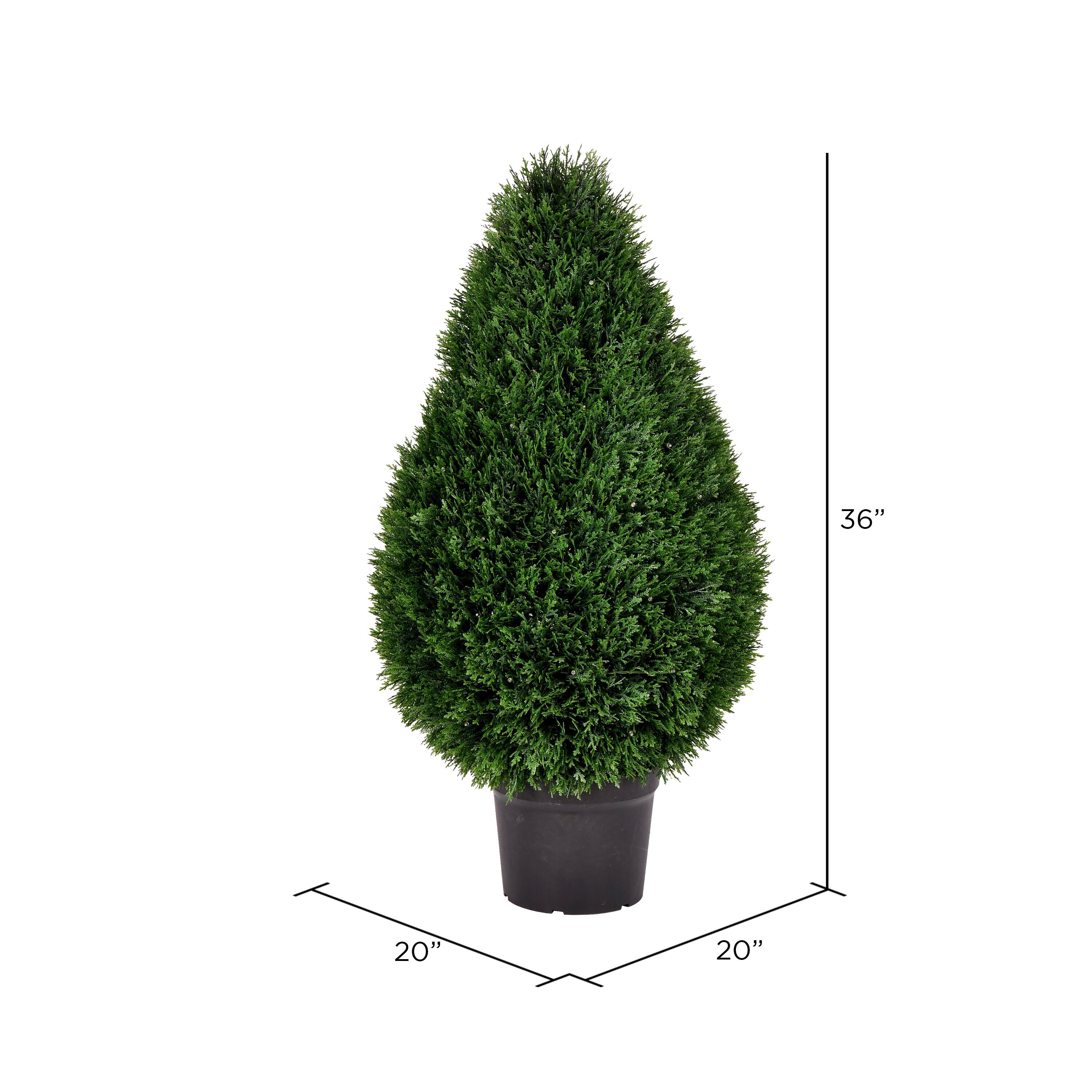 3ft. Potted Cedar Teardrop Shaped Bush