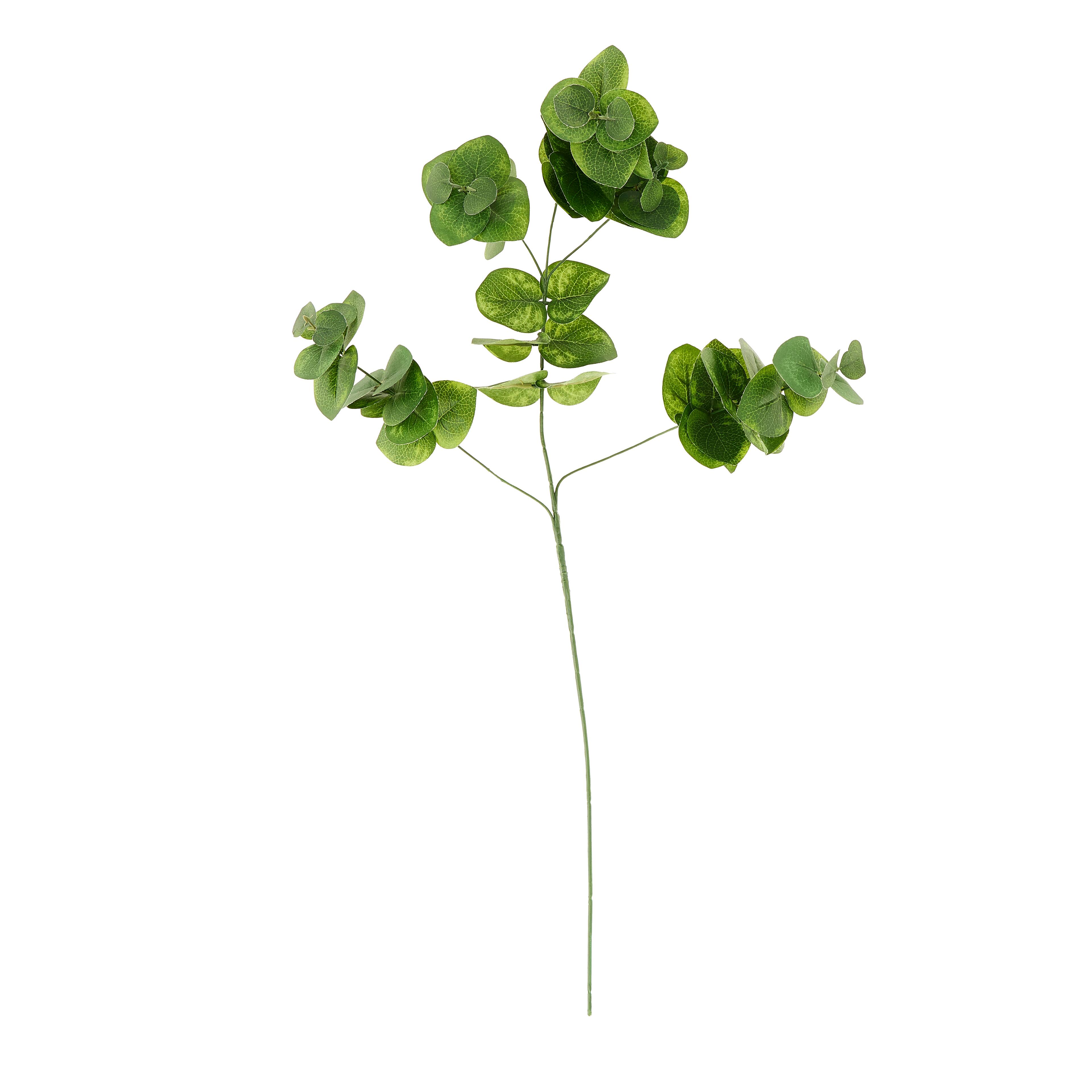 12 Pack: Green Eucalyptus Branch by Ashland®