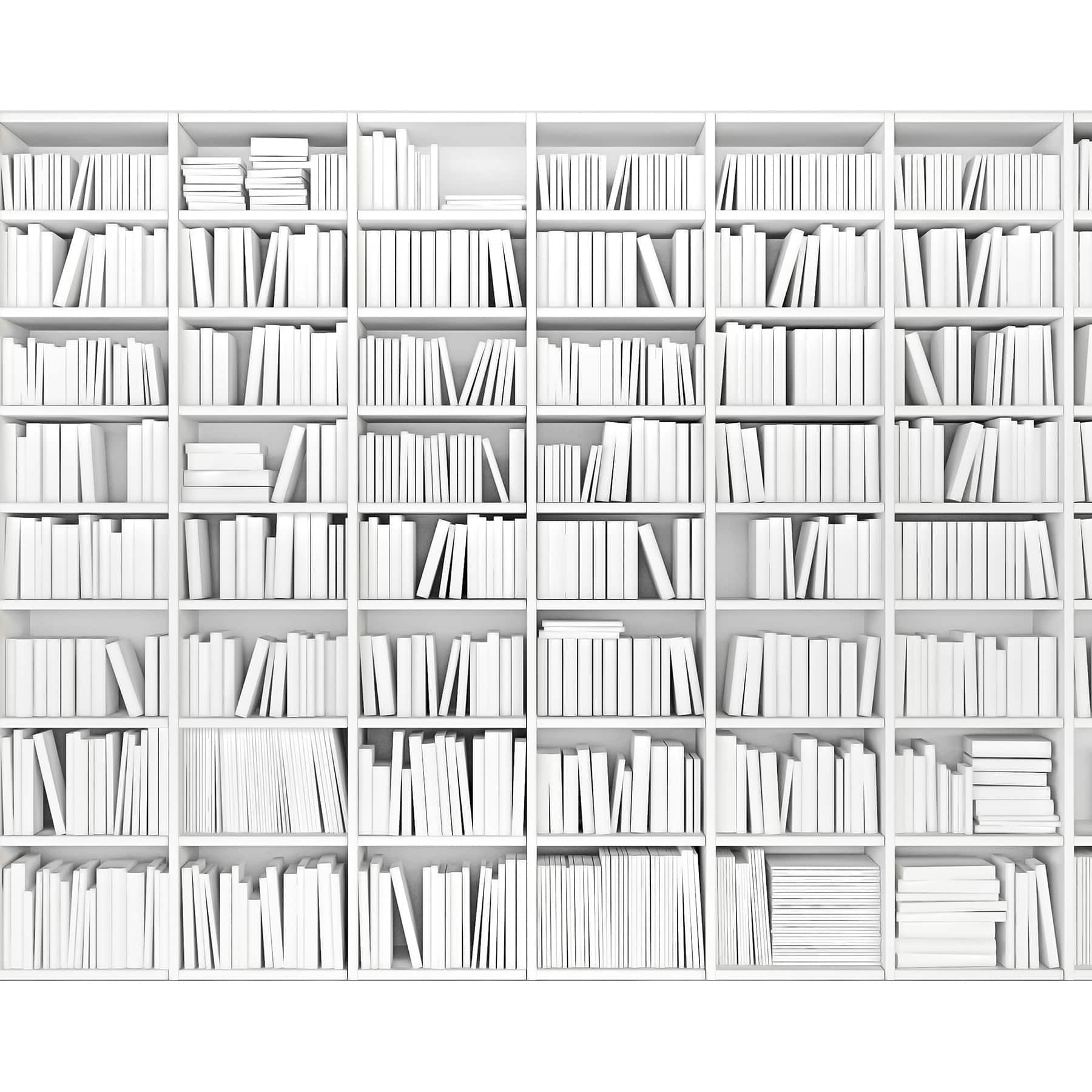 ohpopsi Library Wall Mural