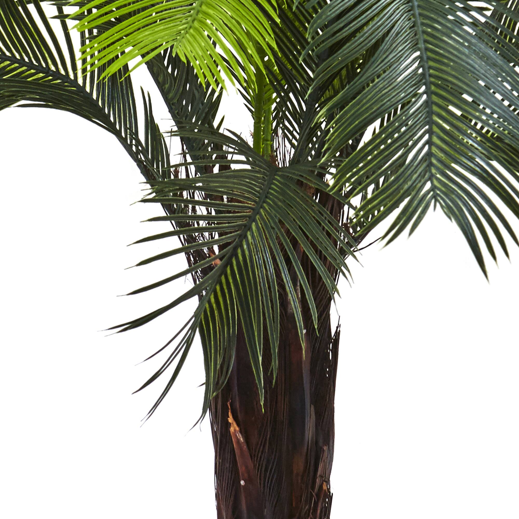3ft. Potted UV Resistant Cycas Tree