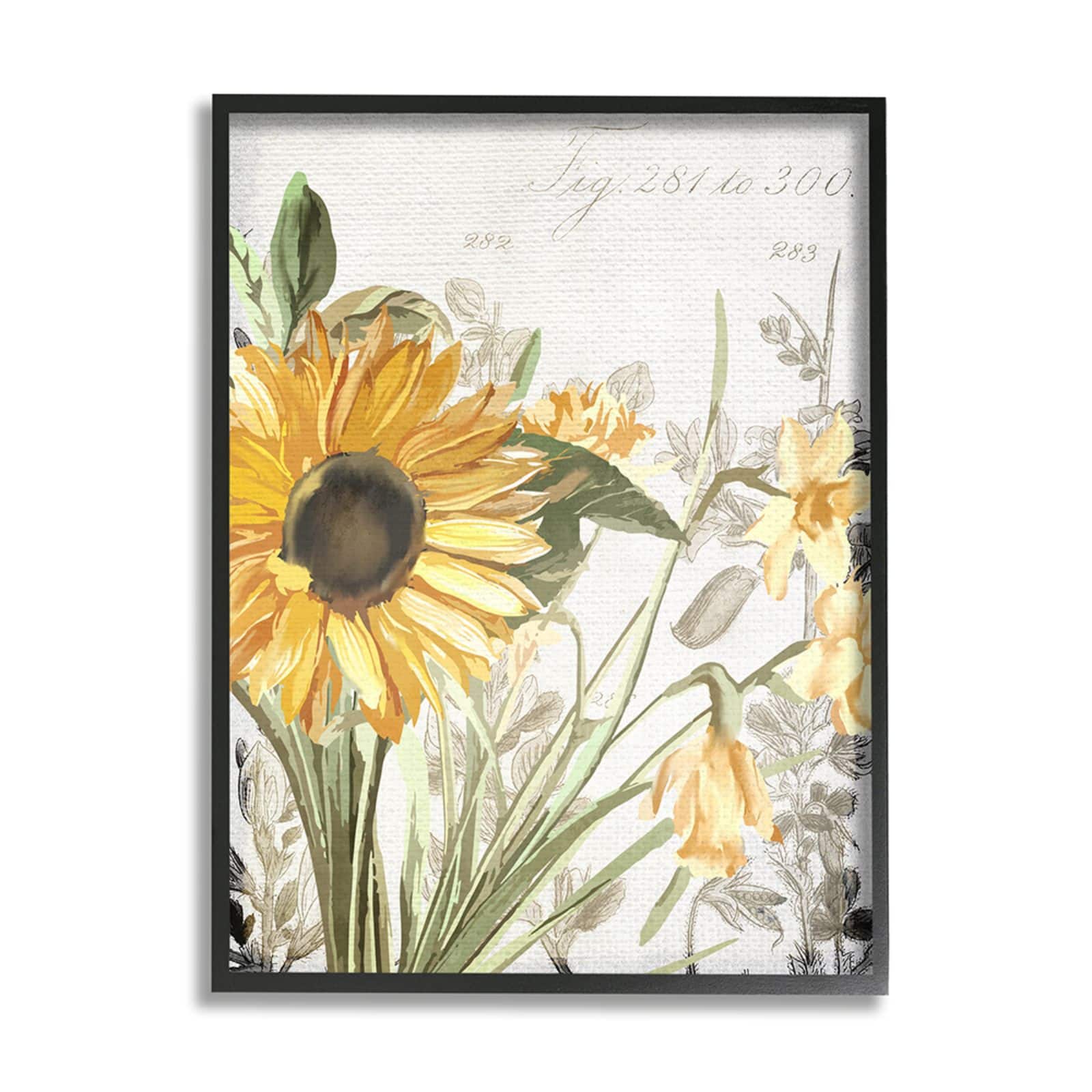 Stupell Industries Soft Sunflower Floral Black Framed Wall Art