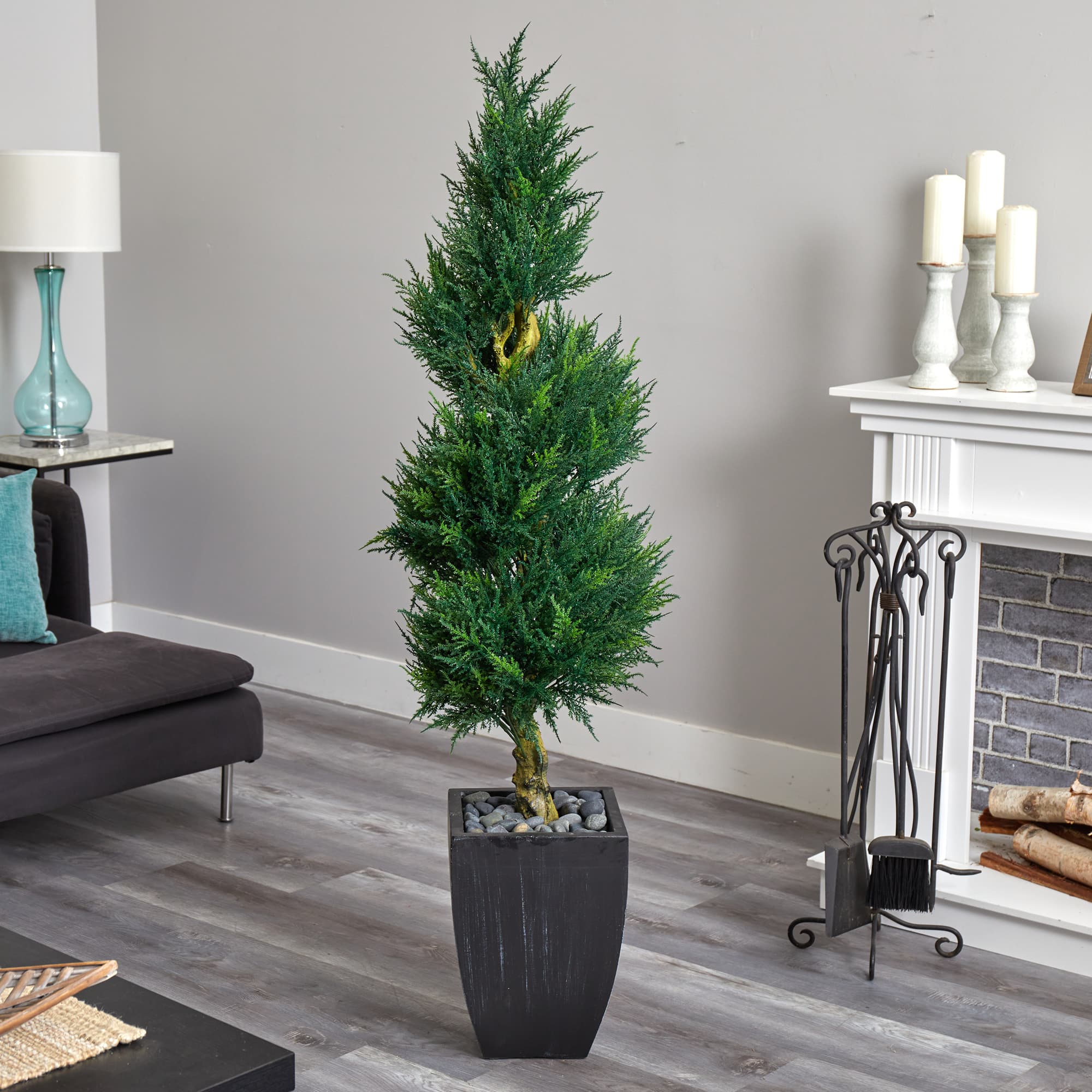 5.5ft. Cypress Spiral Tree in Black Wash Planter