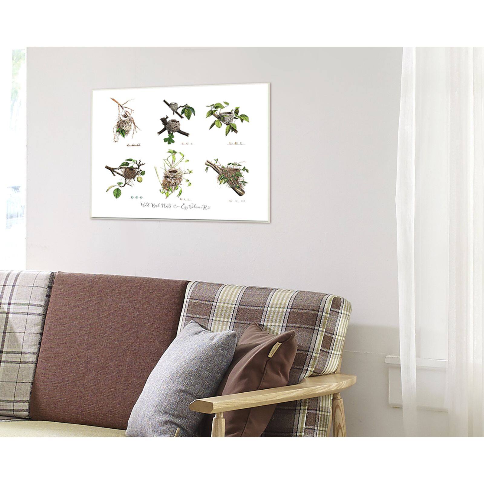 Stupell Industries Bird Nest Identification Wall Plaque