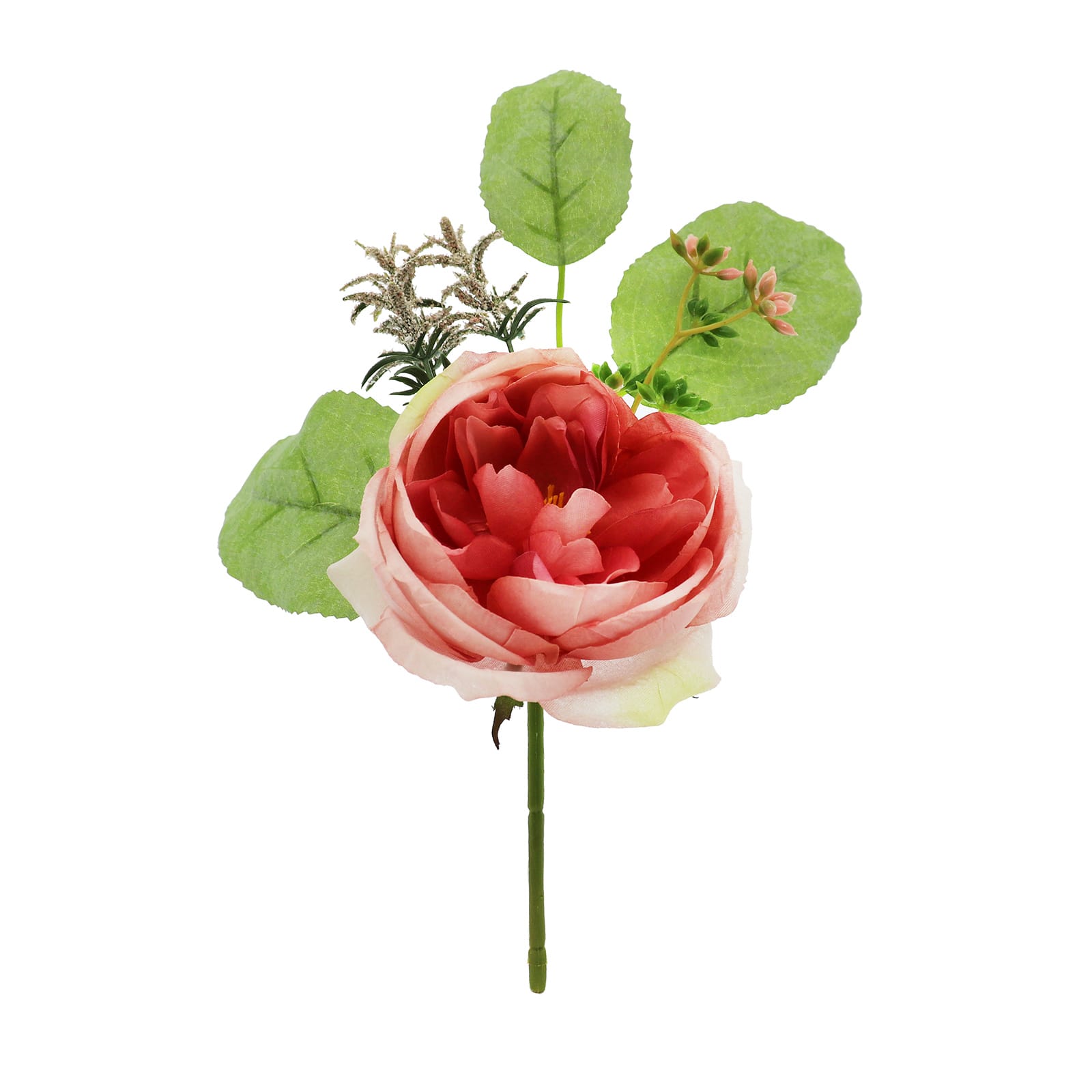 Tige de rose cent-feuilles rose d&#x2019;Ashland, 22,8&#xA0;cm