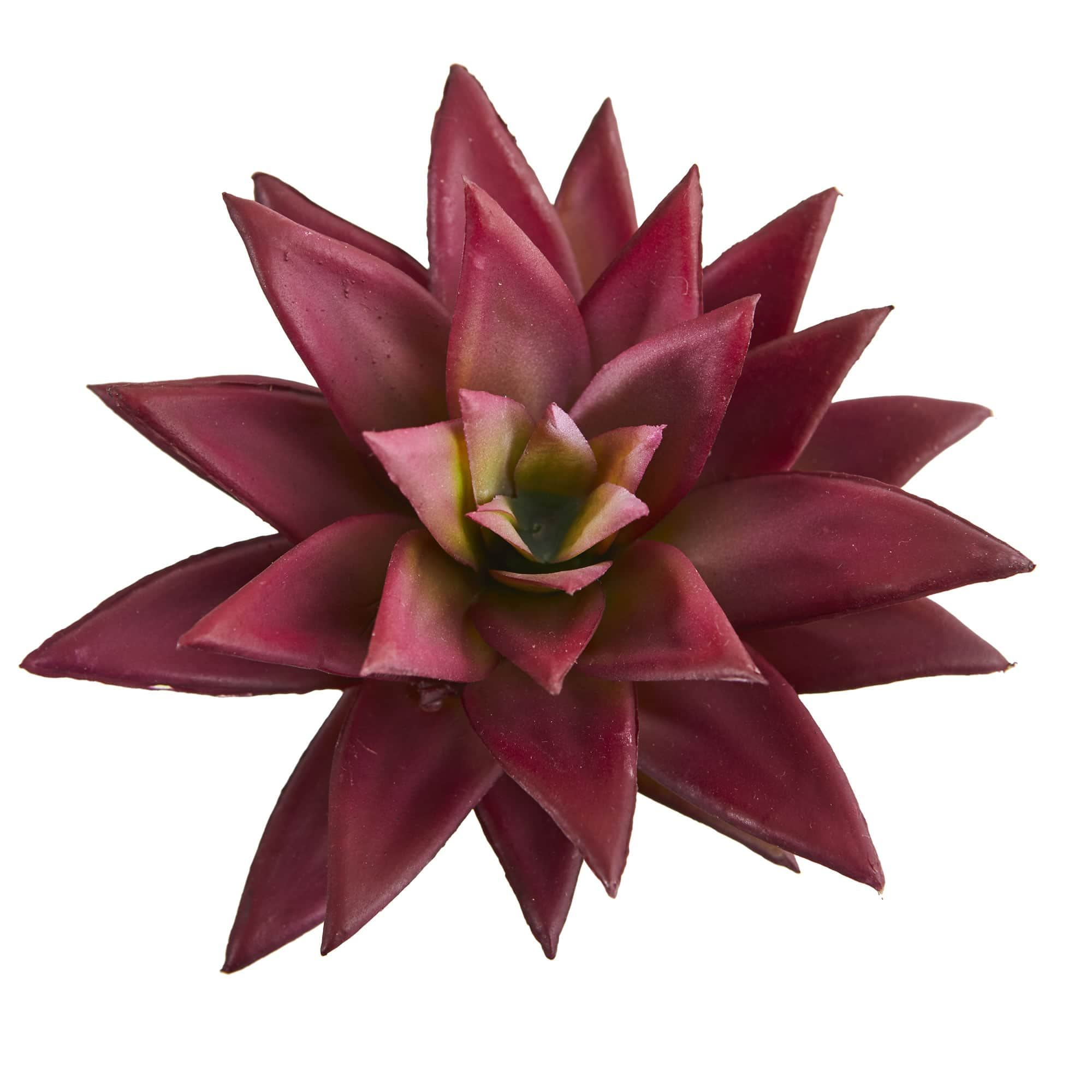 Burgundy Agave Succulent Pick, 12ct.