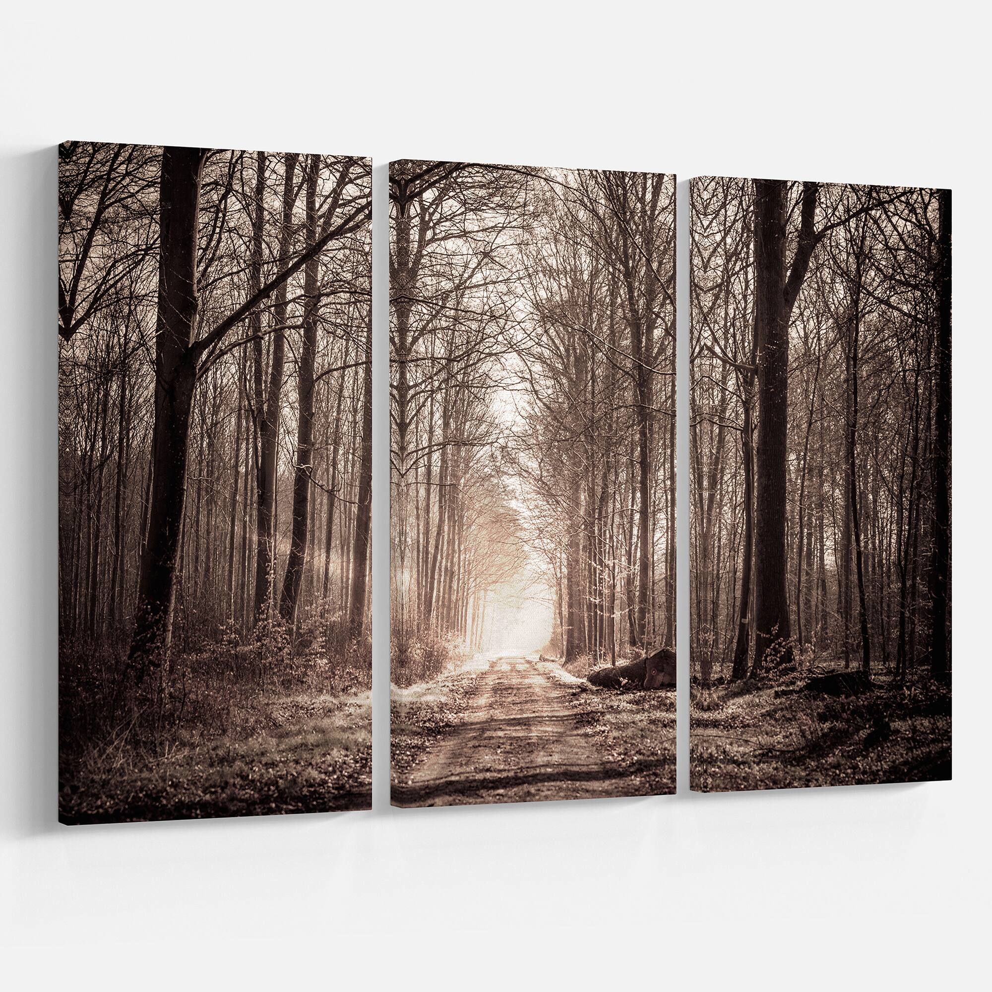 Designart - Forest Trail in Sepia - Landscape Photography Canvas Art Print