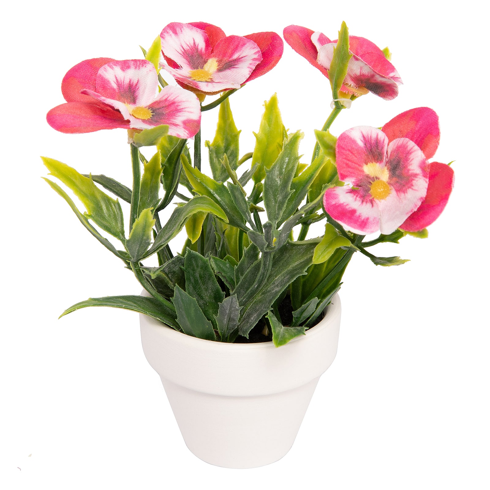 Assorted Micro Premade Flowering Plant, 1pc. by Ashland®
