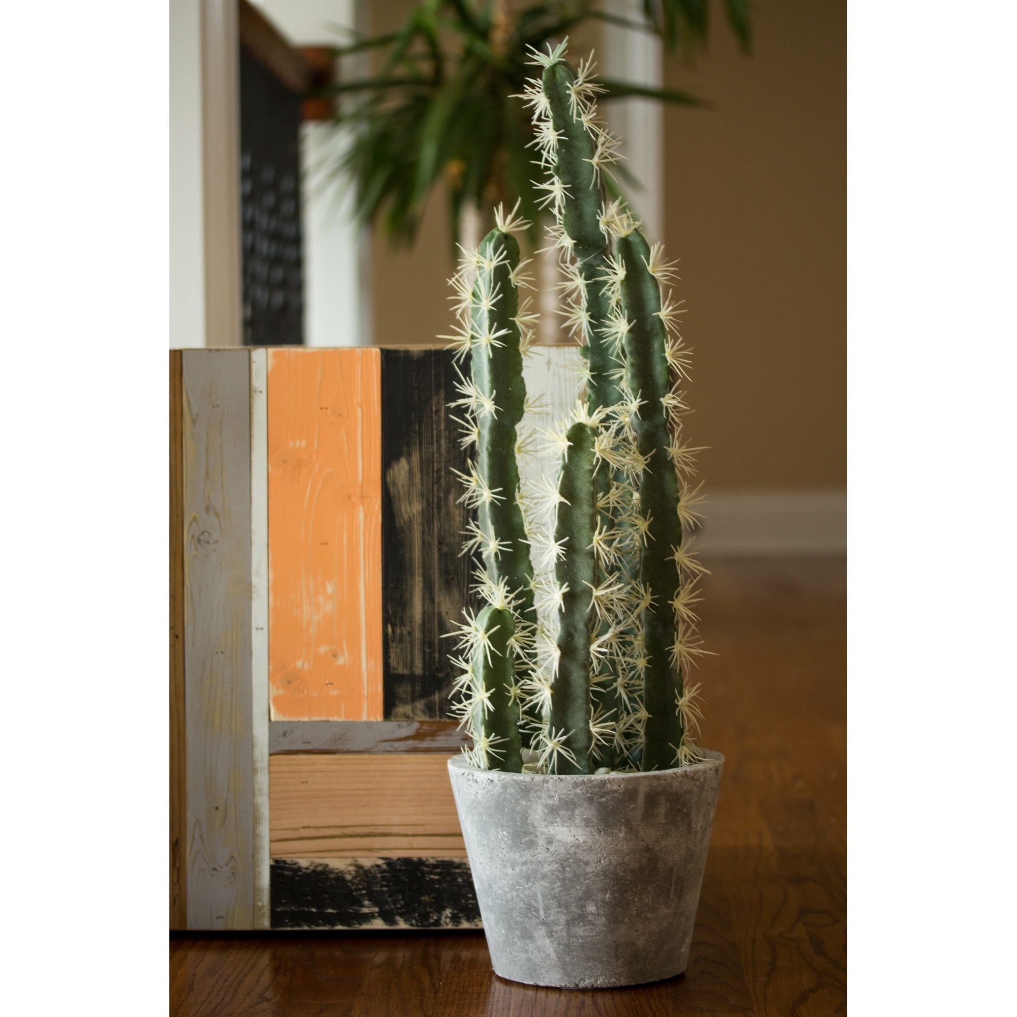 2ft. Cactus Garden In Cement Planter