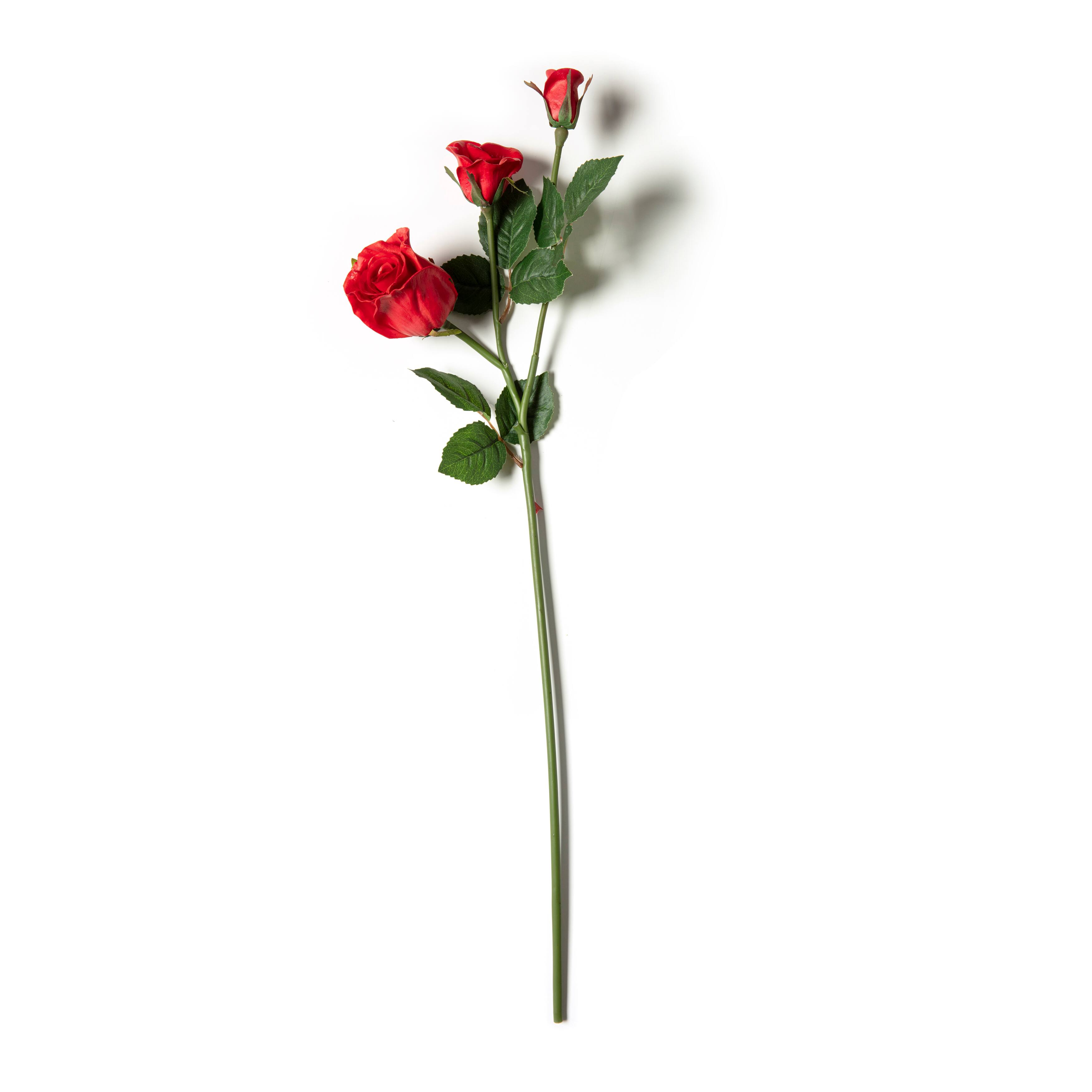 Red Rose Stem by Ashland&#xAE;