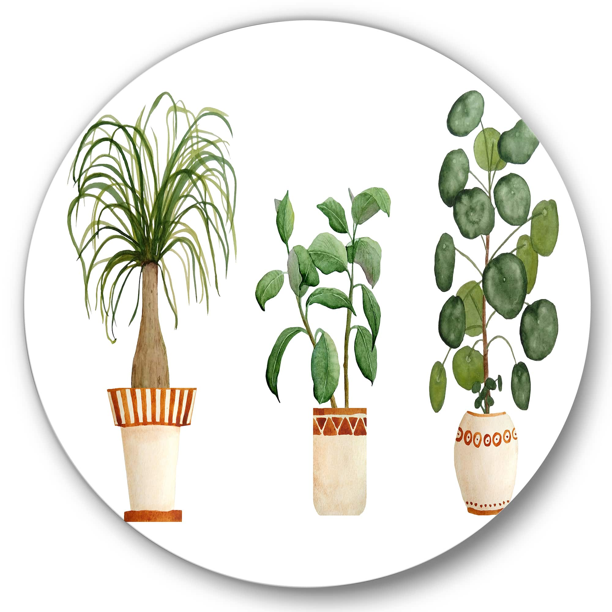 Designart - Trio of House Plants Ponytail Palm and Ficus - Traditional Metal Circle Wall Art