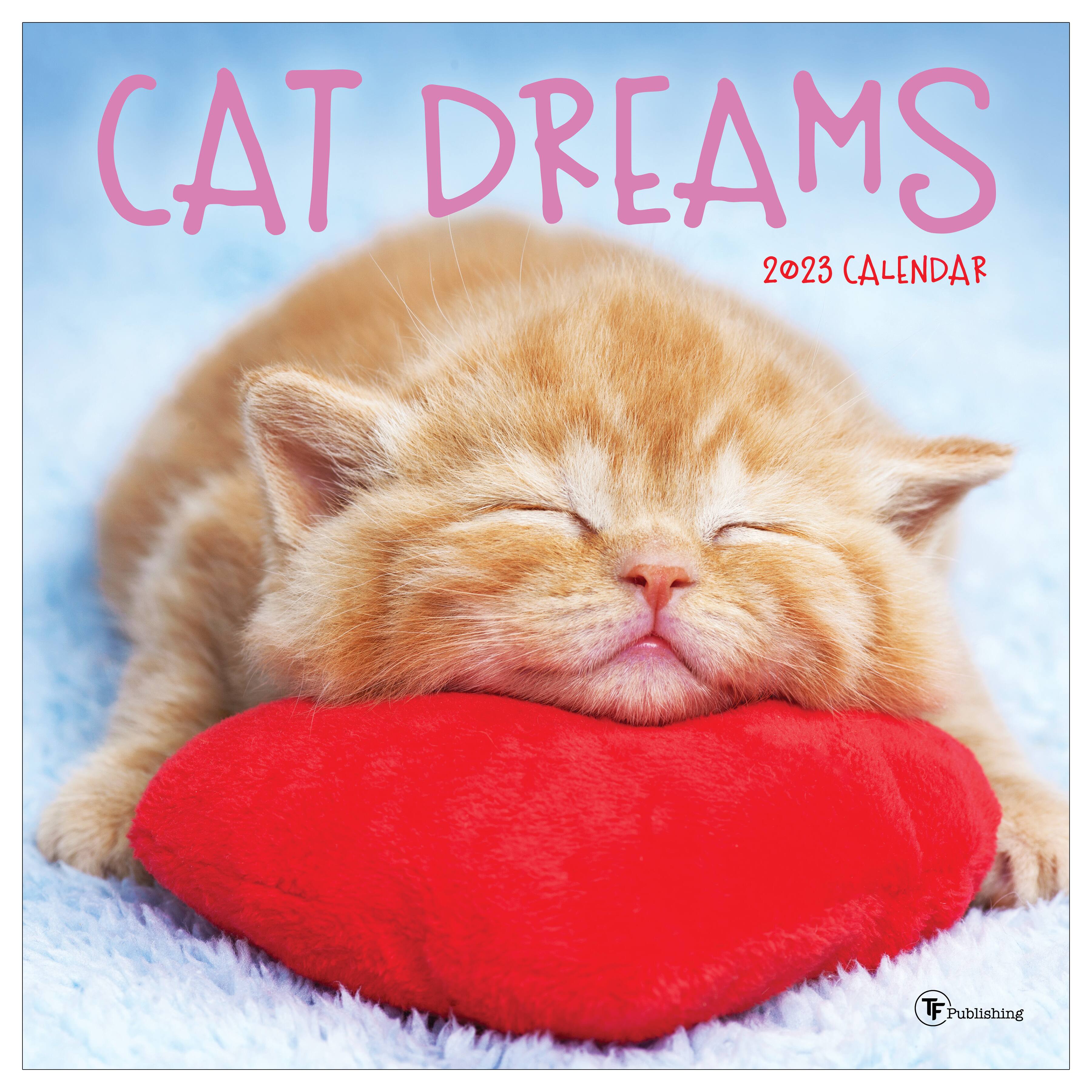 2023 Cat Dreams Wall Calendar | Michaels