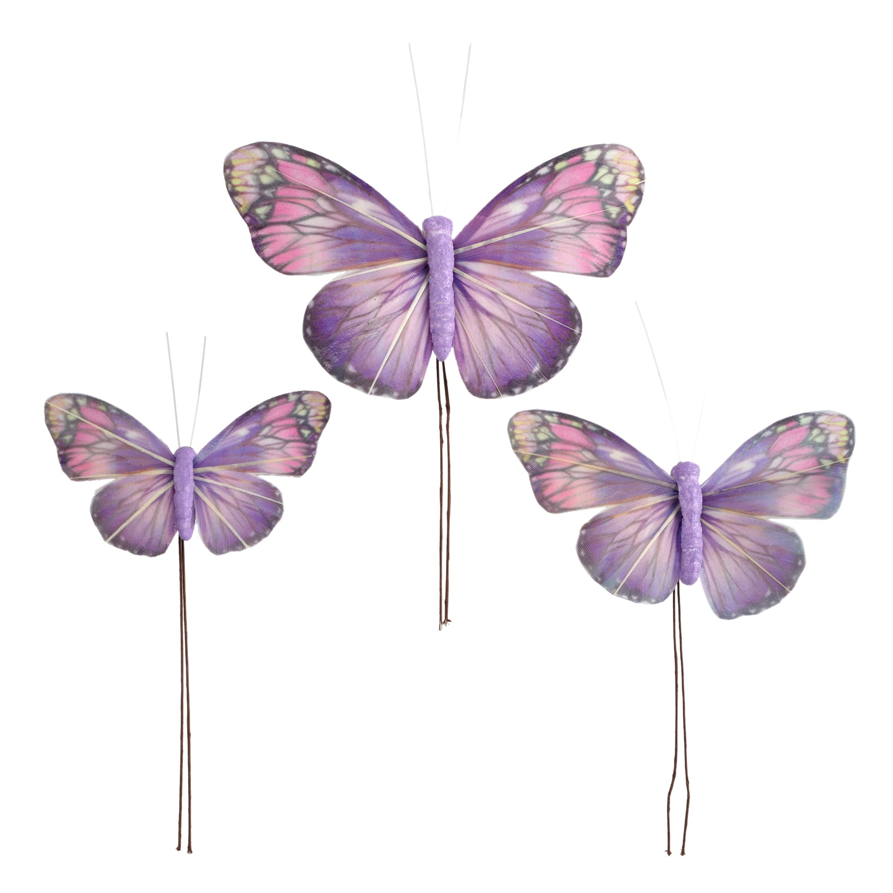 Decorative Feather Butterflies, 3ct. by Ashland&#xAE;