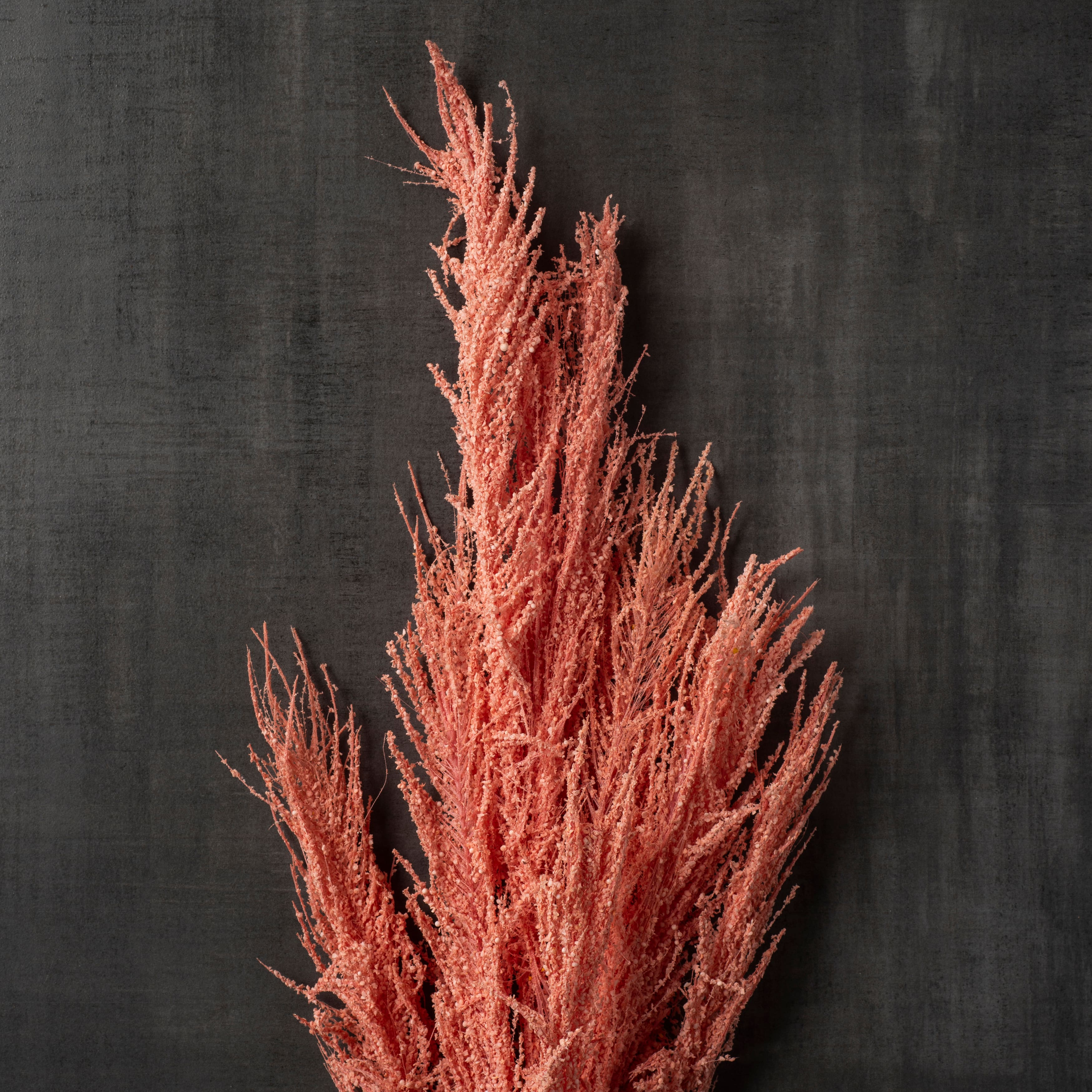 Peach Pampas Grass Stem by Ashland&#xAE;