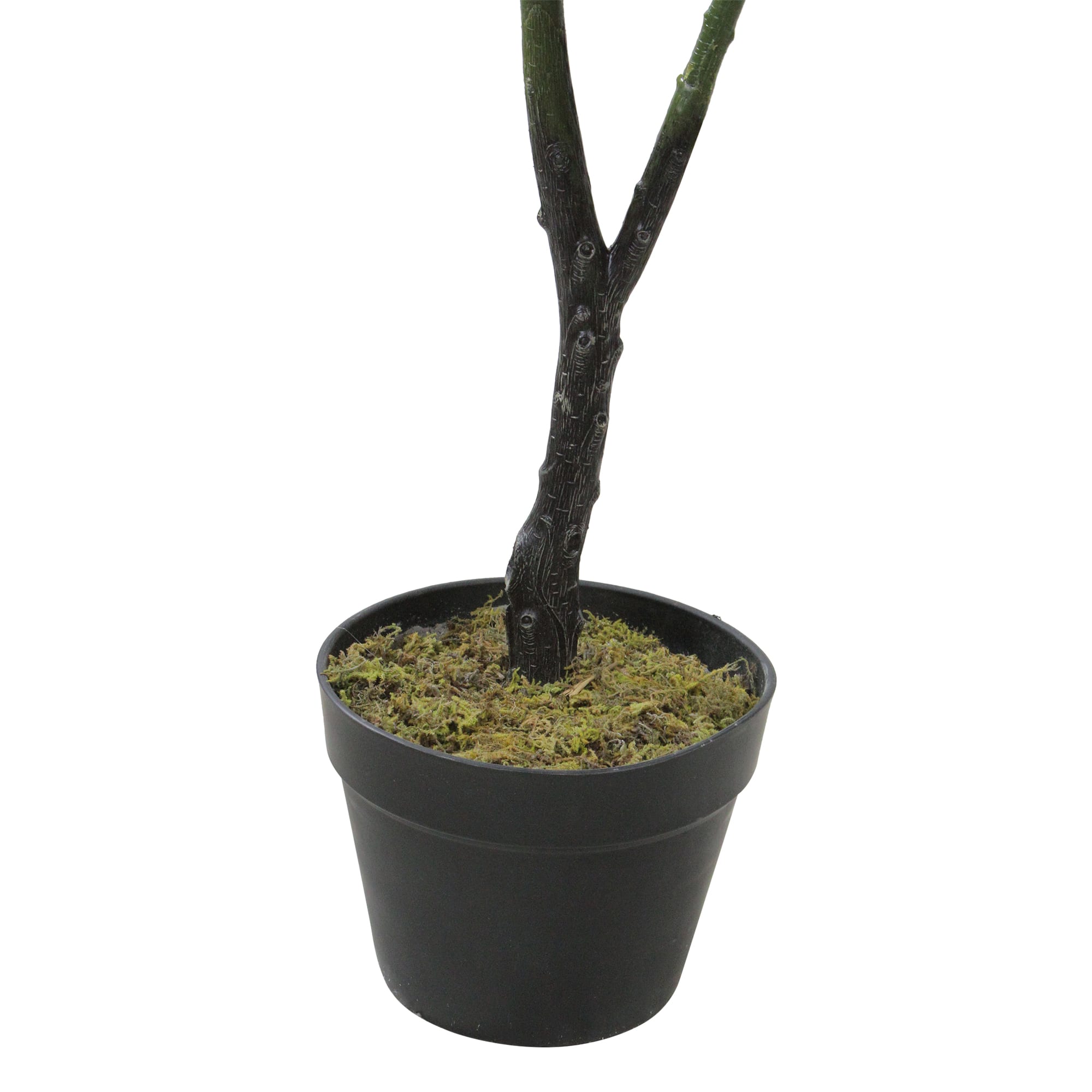 4 ft. Two-Tone Potted Wide Fiddle Leaf Floor Plant