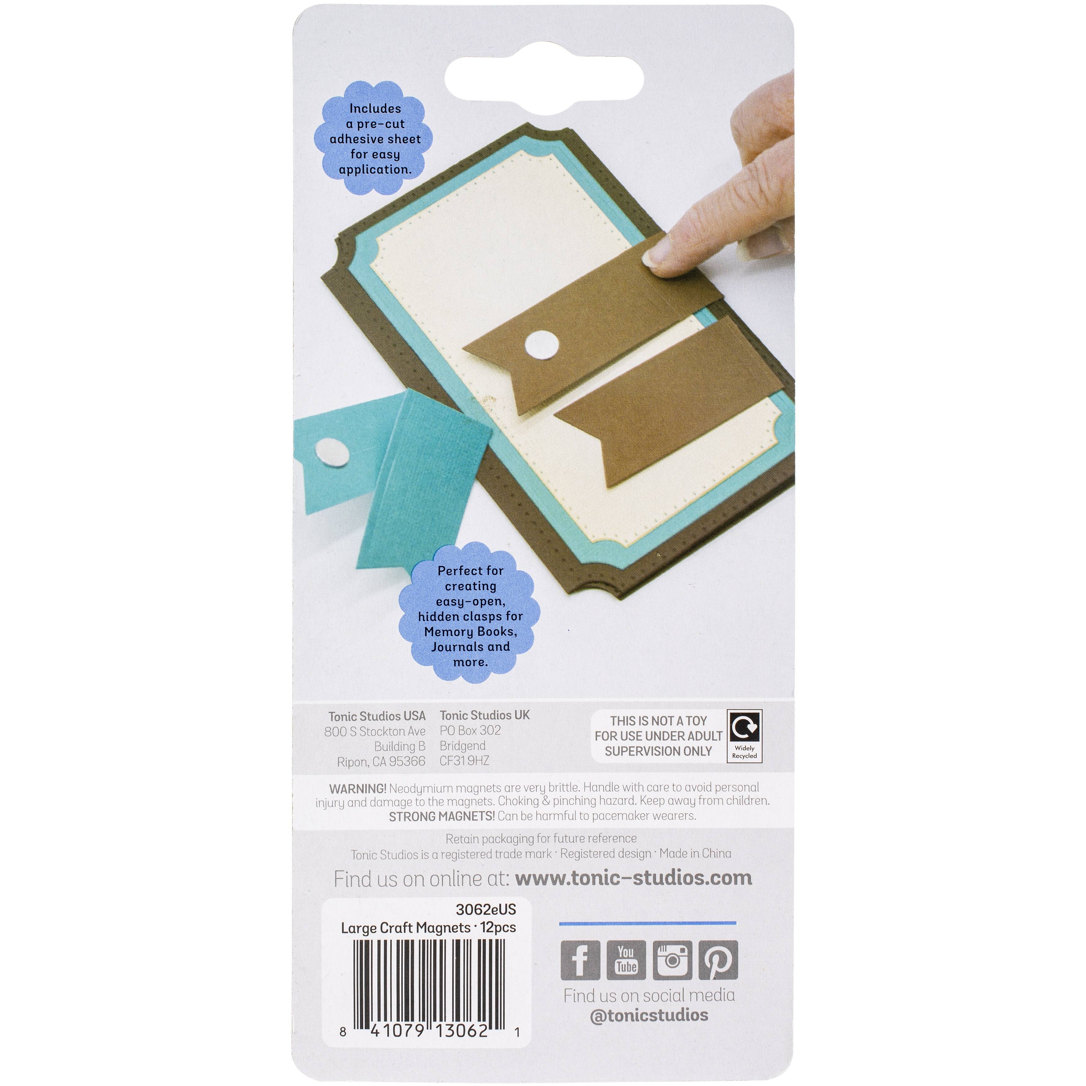 Tonic Studios® 12ct. Large Craft Magnets, 15mm