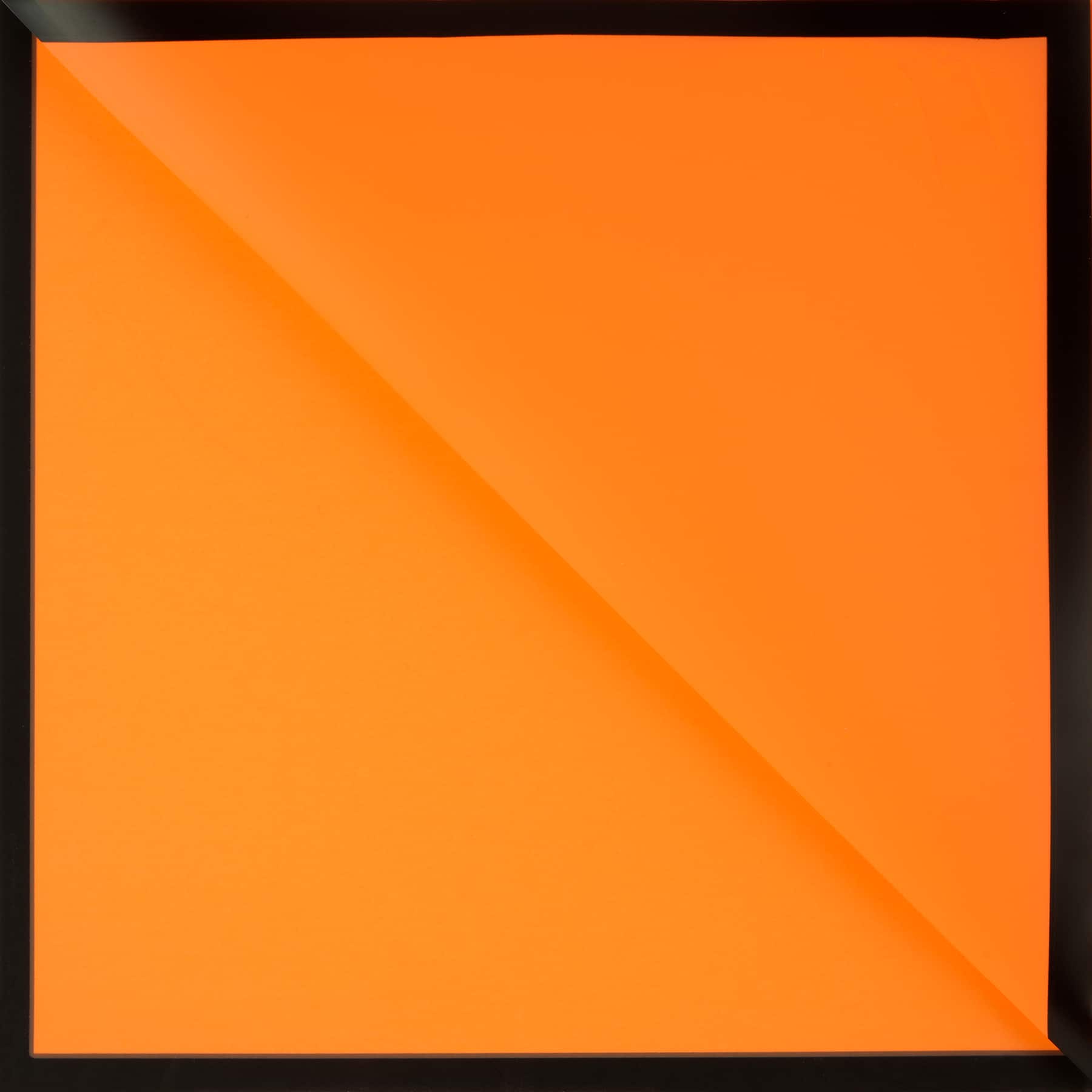 Orange with Black Border Floral Wrapping Paper by Ashland&#xAE;