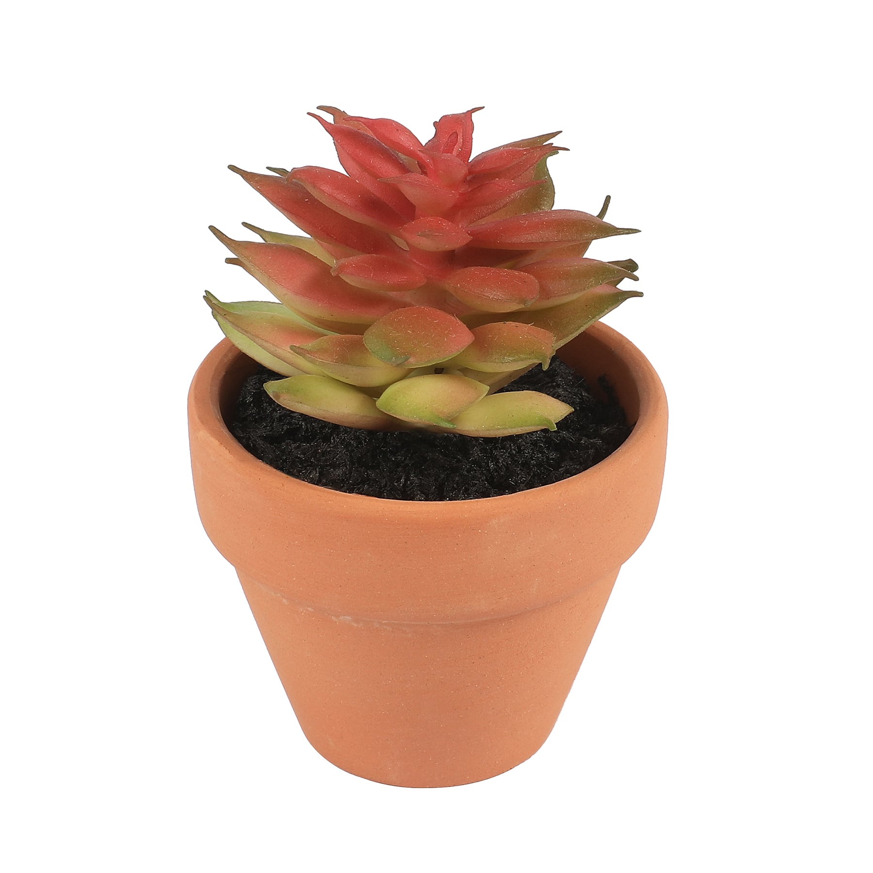 Mini Premade Succulents in Terra Cotta Pots, 6ct. by Ashland&#xAE;