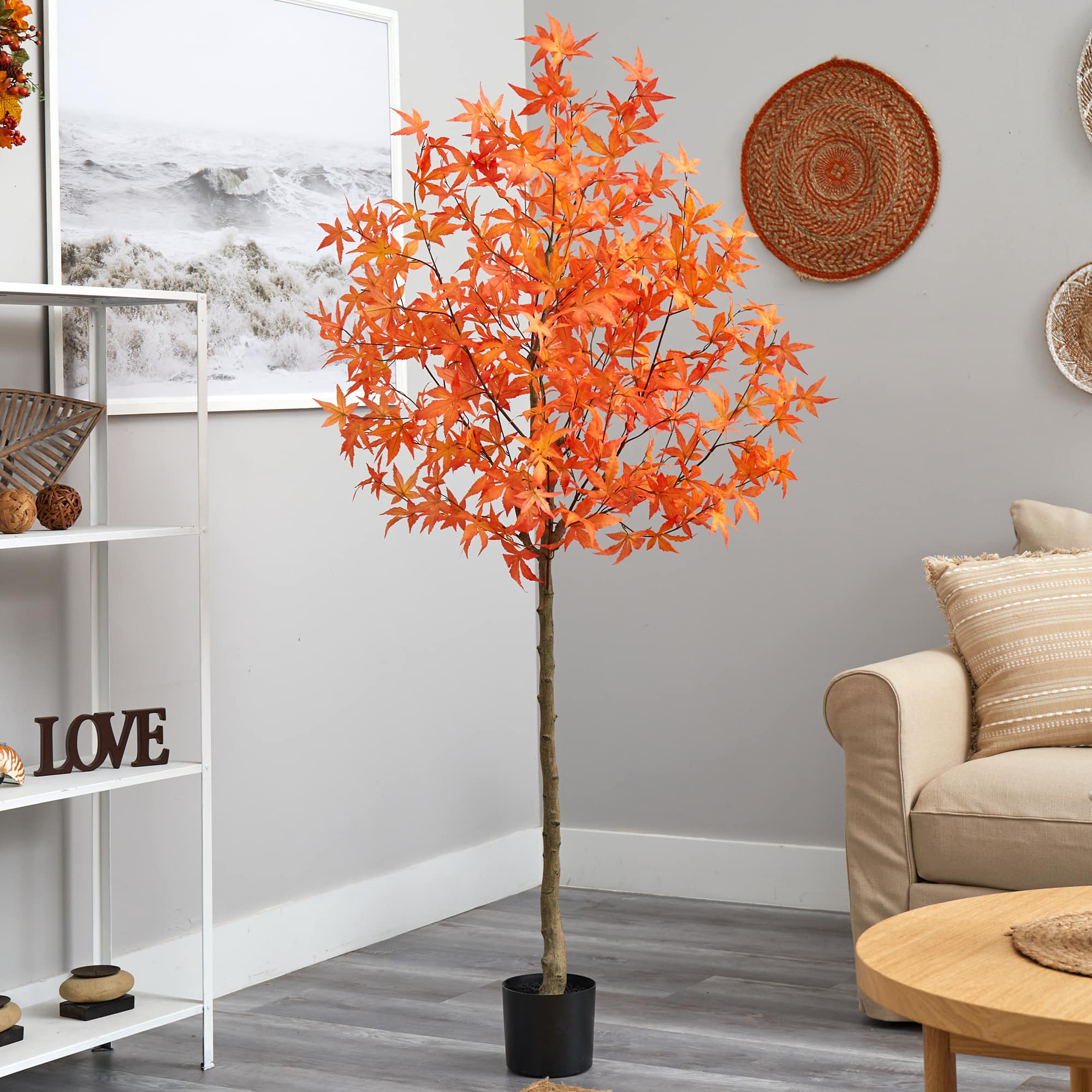 6ft. Potted Orange Autumn Maple Tree