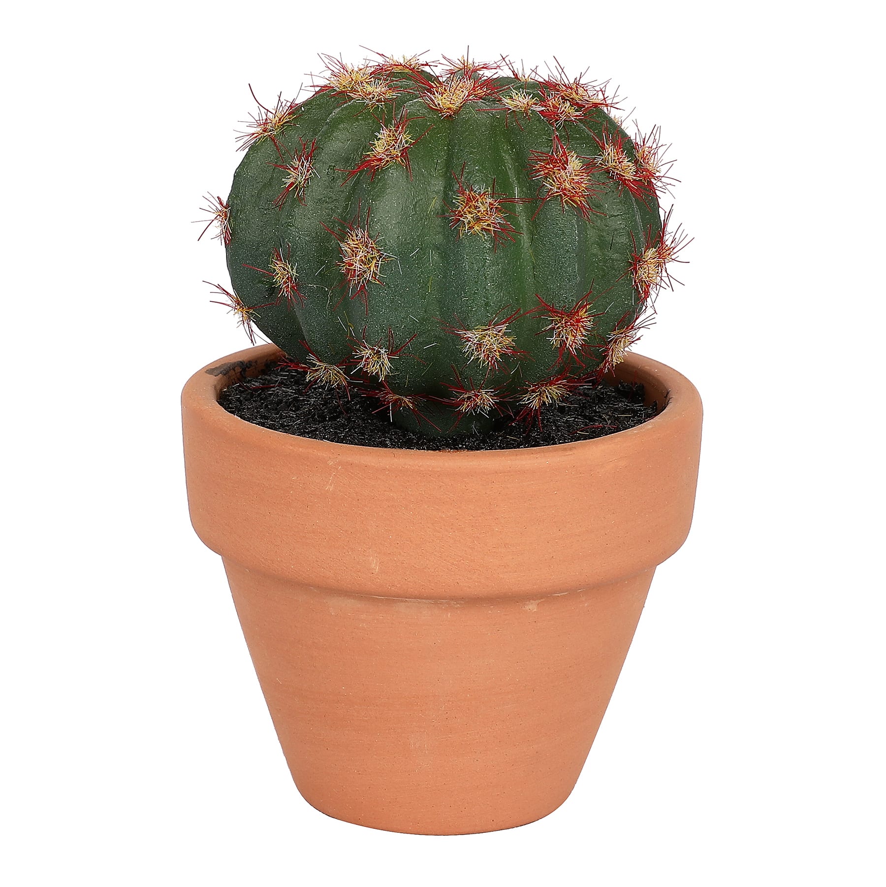 Assorted Micro Succulent in Terra Cotta Pot by Ashland&#xAE;, 1pc.