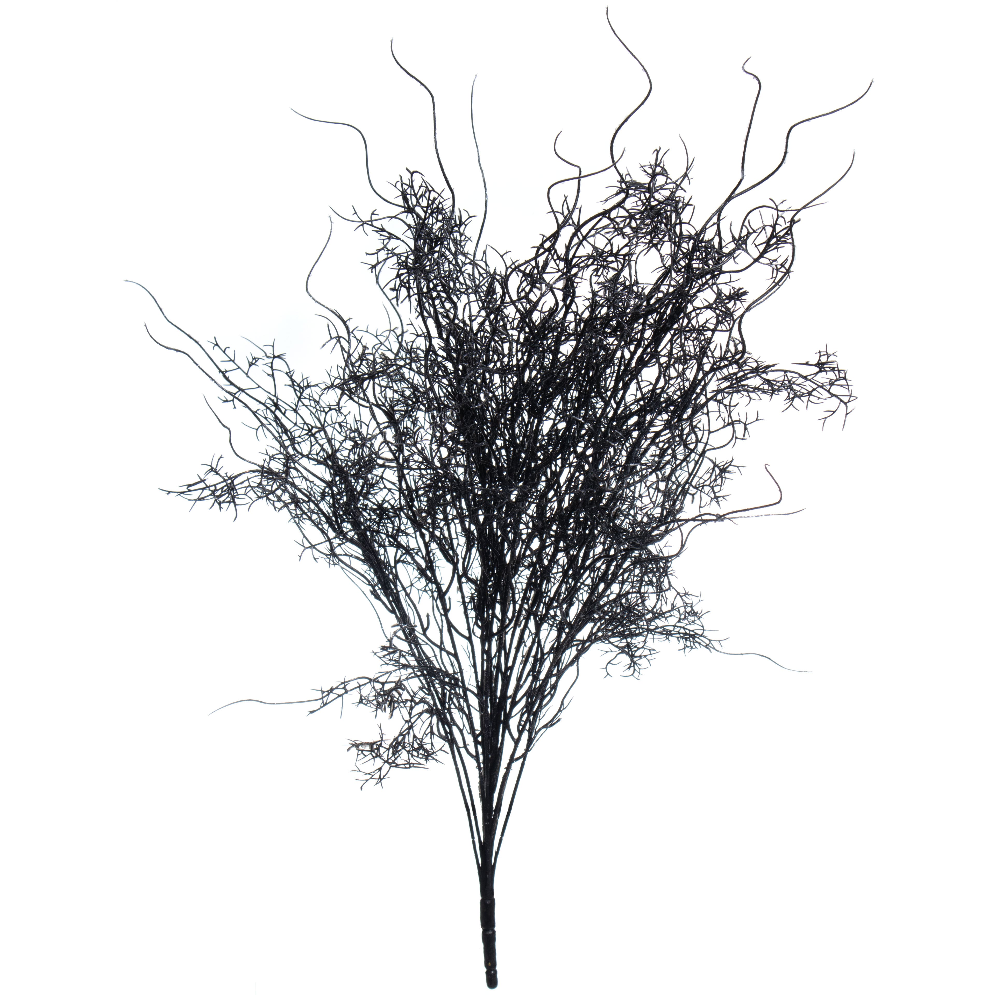 24&#x22; Black Moss Bush by Ashland&#xAE;
