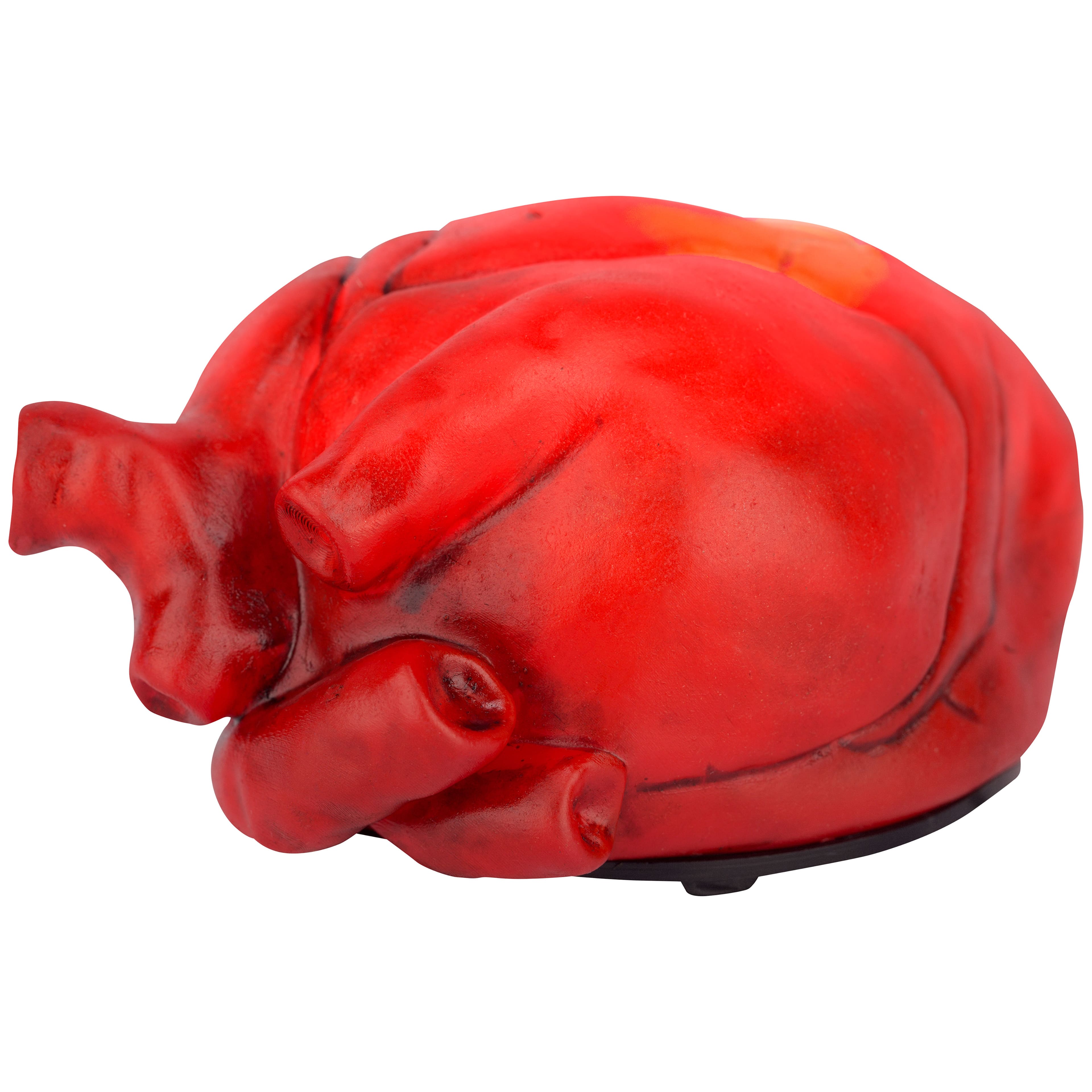 5.7&#x22; Animated Beating Heart by Ashland&#xAE;