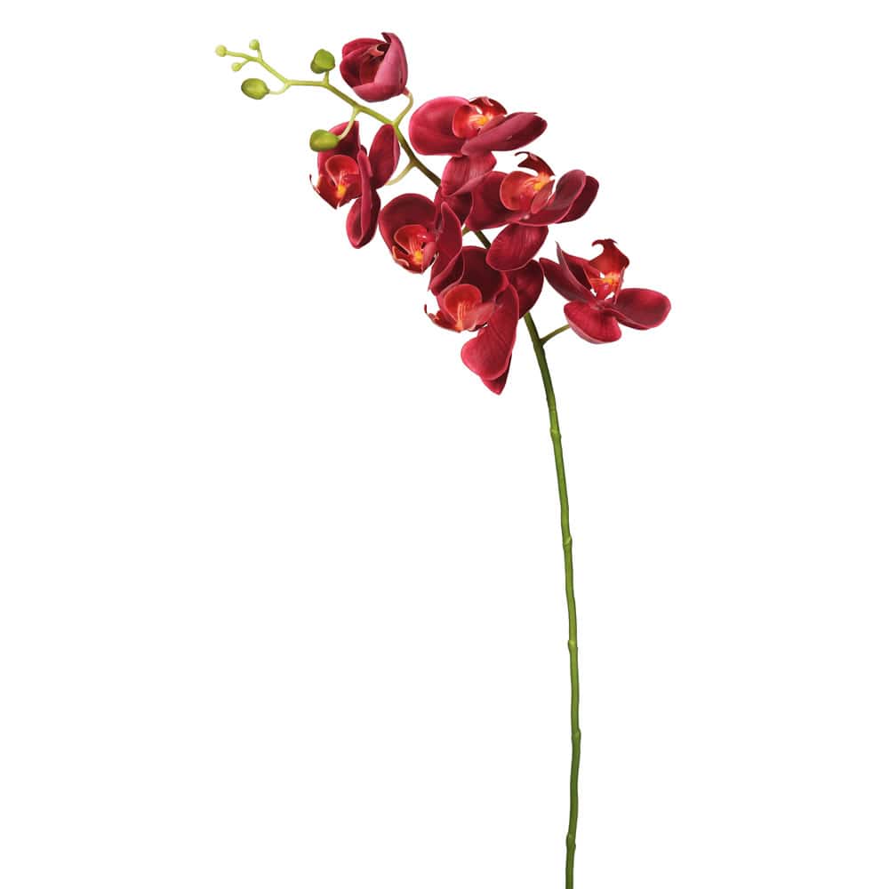 Magenta Real Touch Orchid Stem