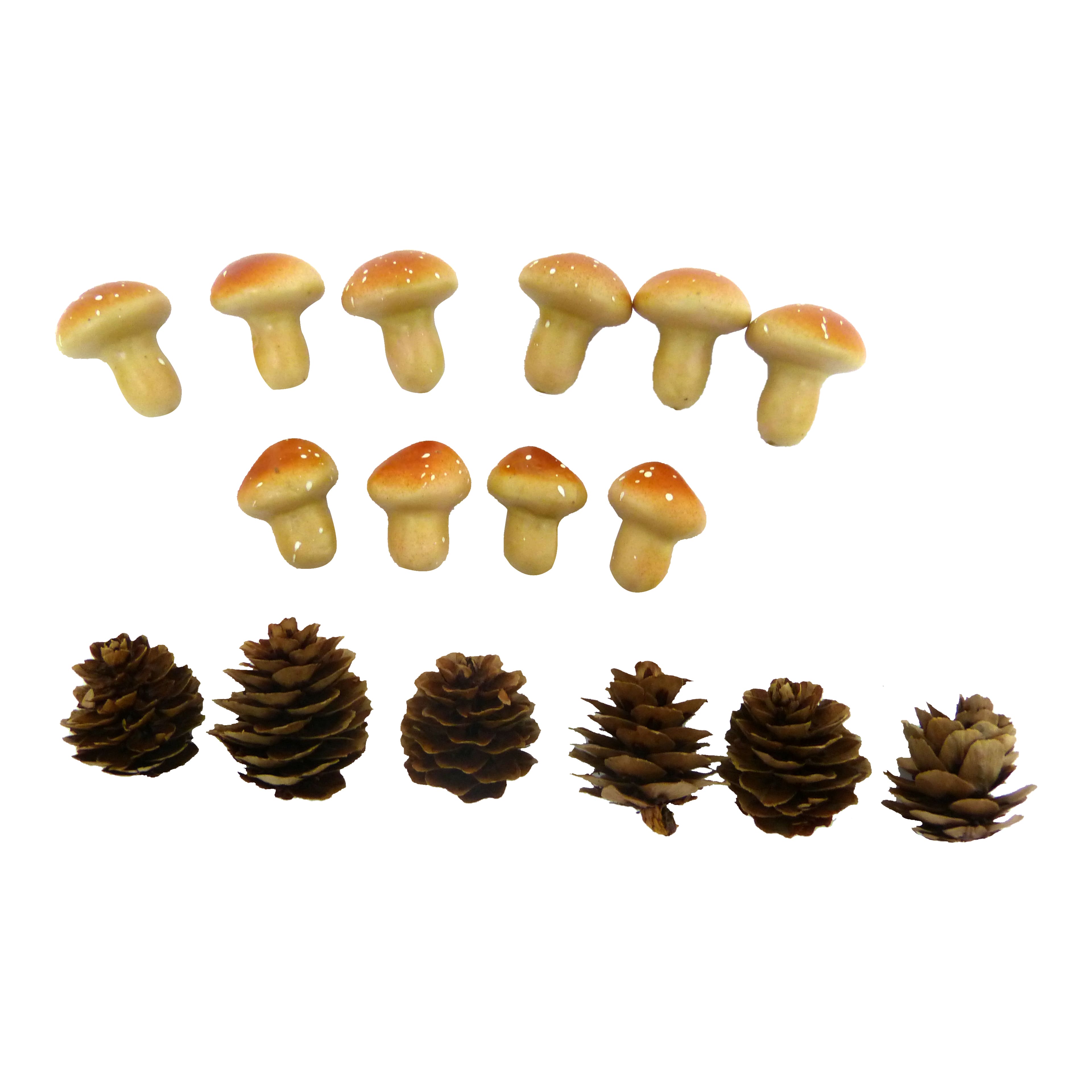 Decorative Mushroom &#x26; Pinecone Set by Ashland&#xAE;