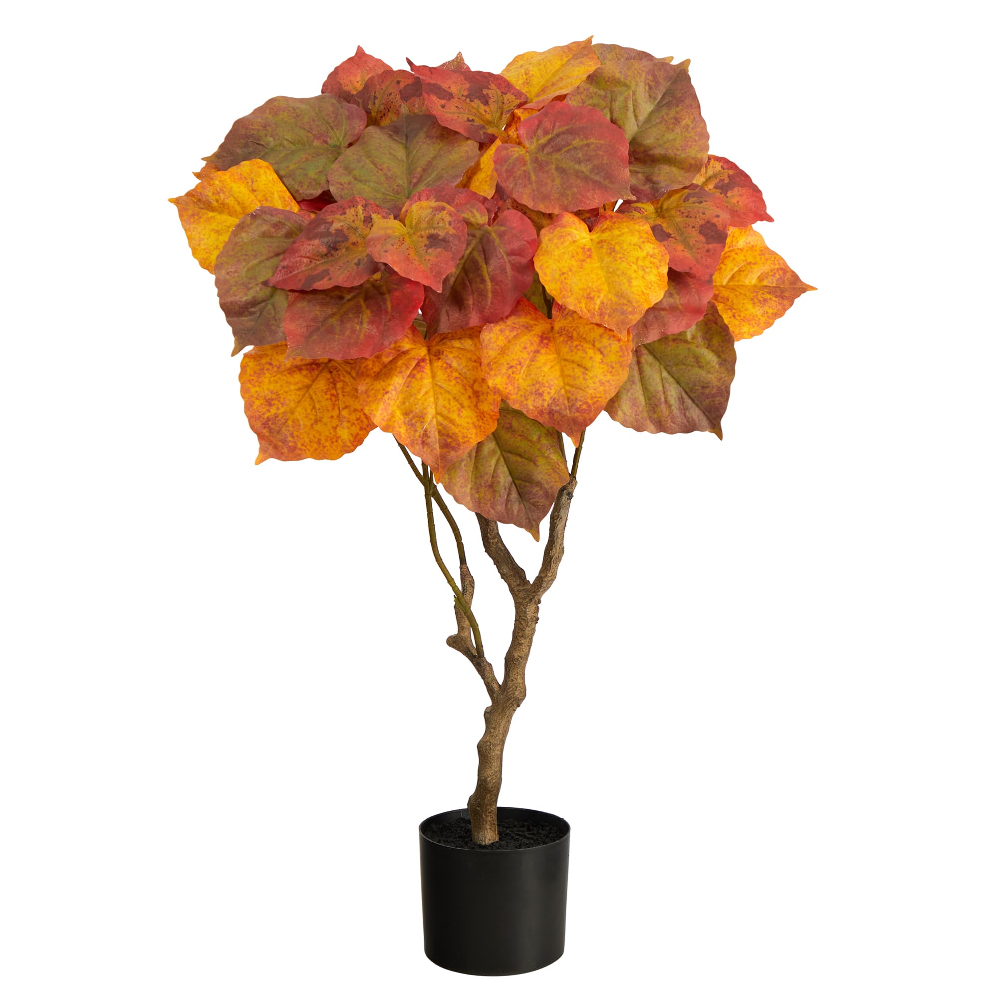 3ft. Orange Autumn Umbrella Ficus Tree