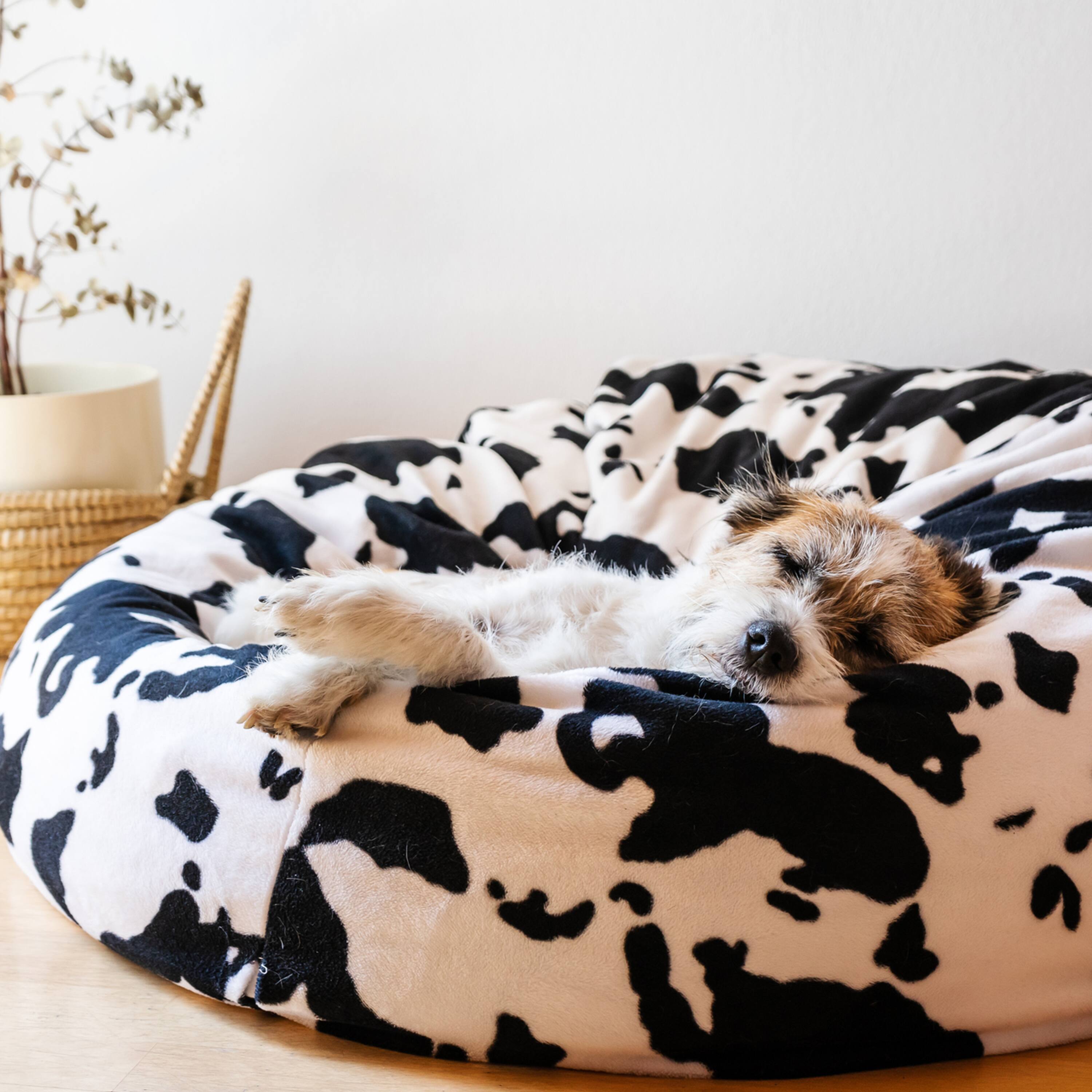 6 Pack: Poly-Fil® 16oz. Biggie Bean Bag Filler