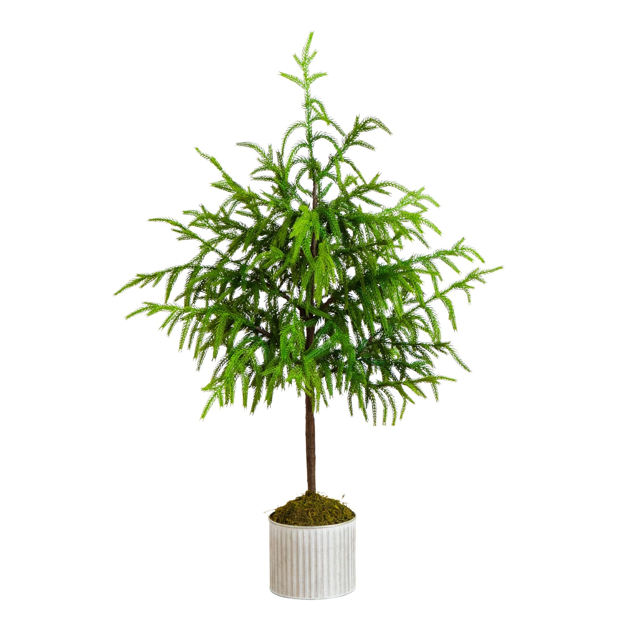 3ft. Unlit Real Touch Norfolk Island Pine Artificial Christmas Tree in Metal Planter