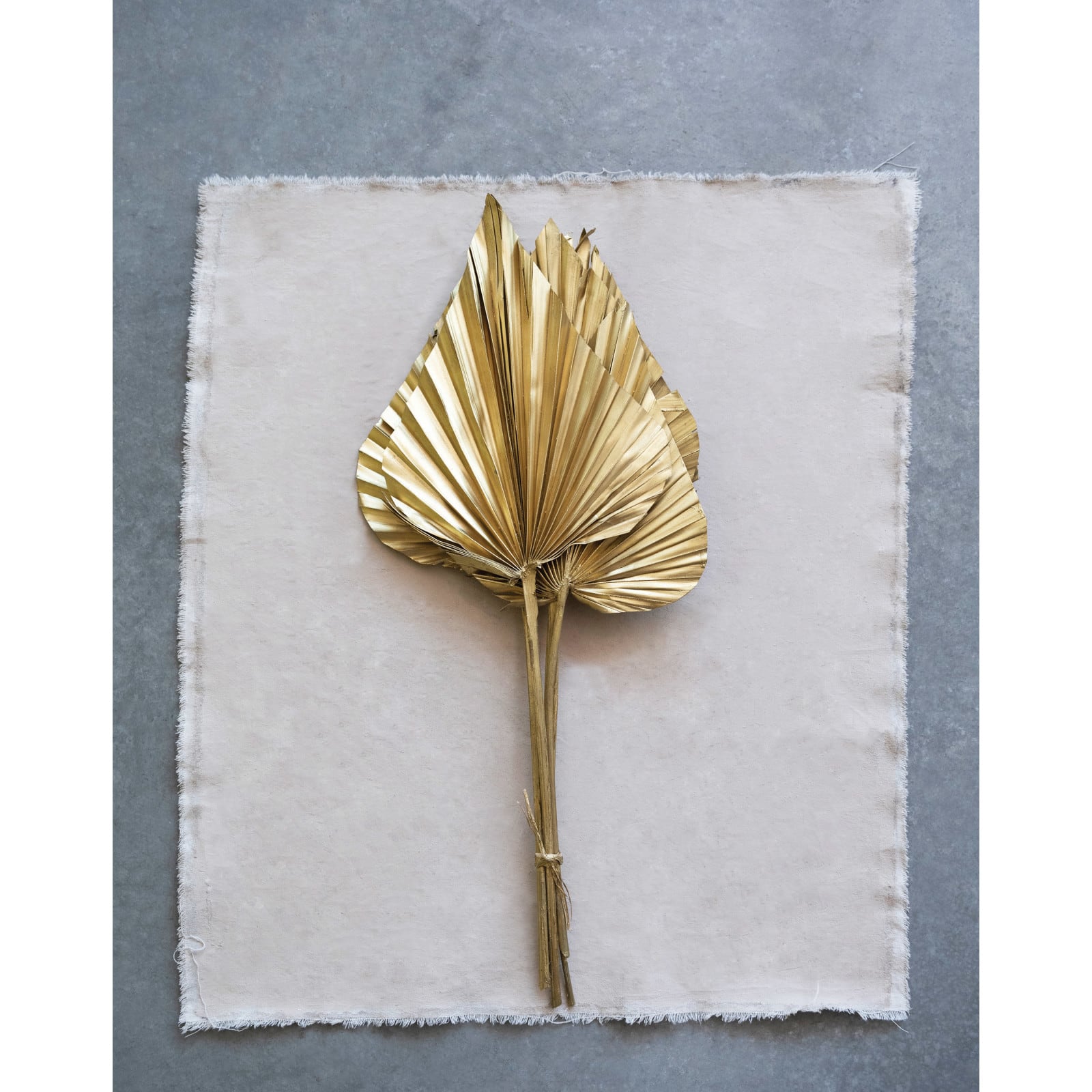 Hello Honey® Gold Finish Dried Natural Sun Cut Palm Bunch