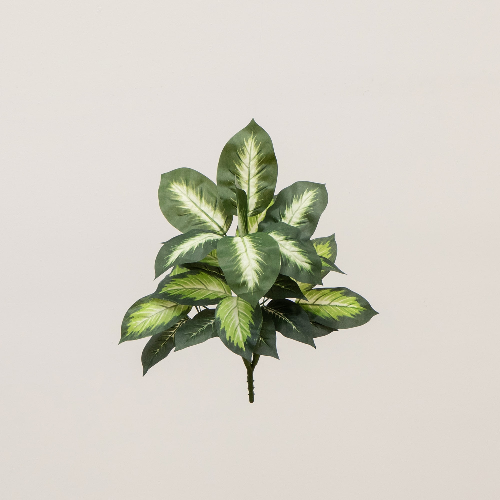 20" Artificial Golden Dieffenbachia Plant, 6ct.