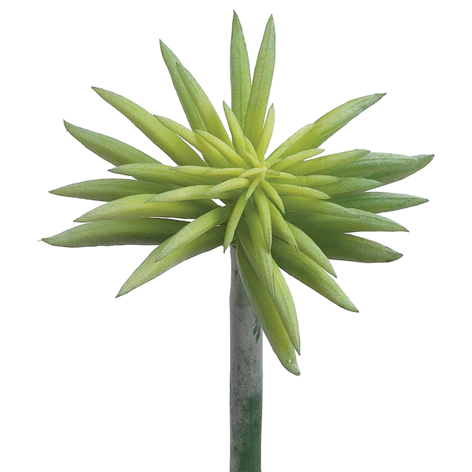6&#x22; Soft Touch Green Gray Starburst Succulent Pick