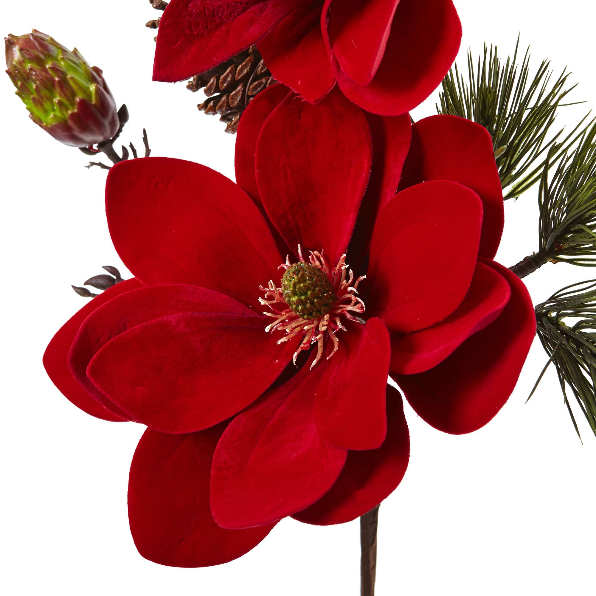 Red Magnolia &#x26; Pine Pick, 2ct.