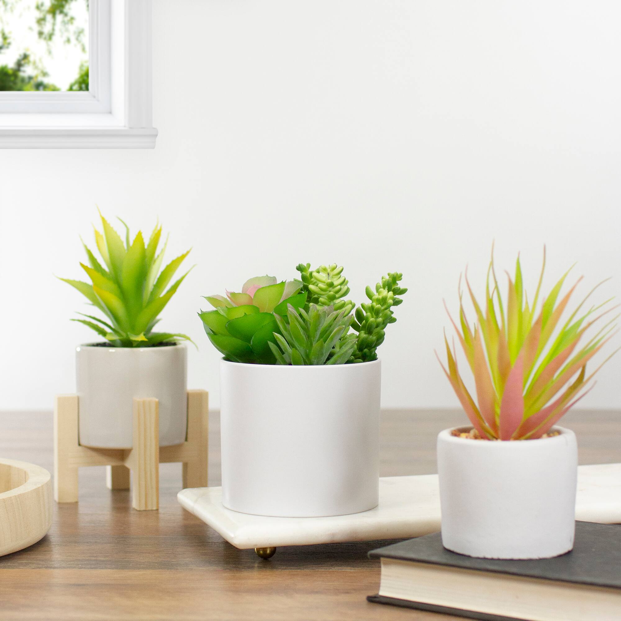 5.5&#x22; Mixed Succulent Arrangement in White Pot
