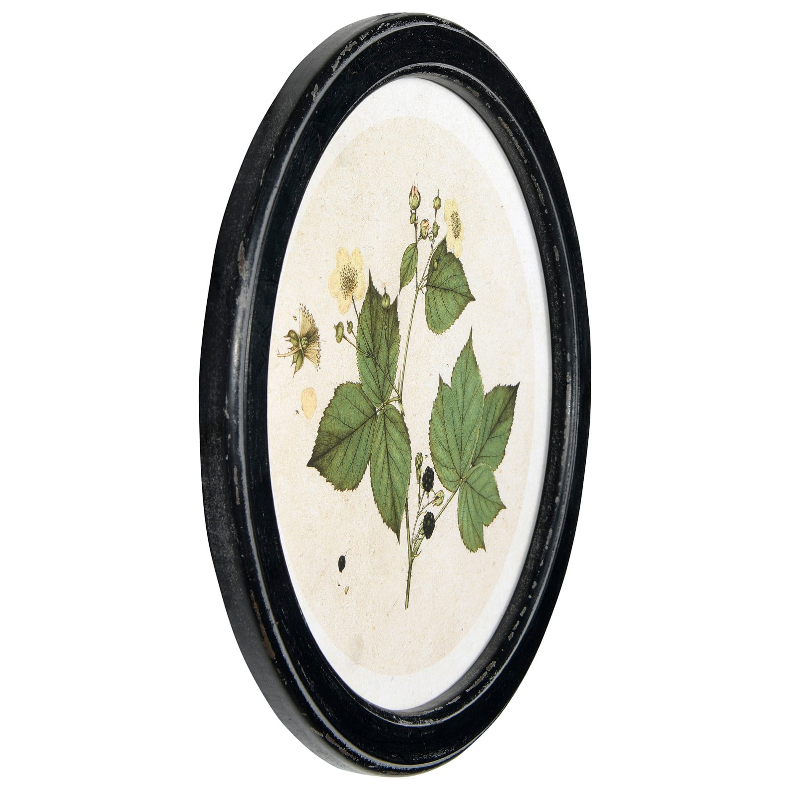 14&#x22; Vintage Botanical Prints Wooden Frame Set