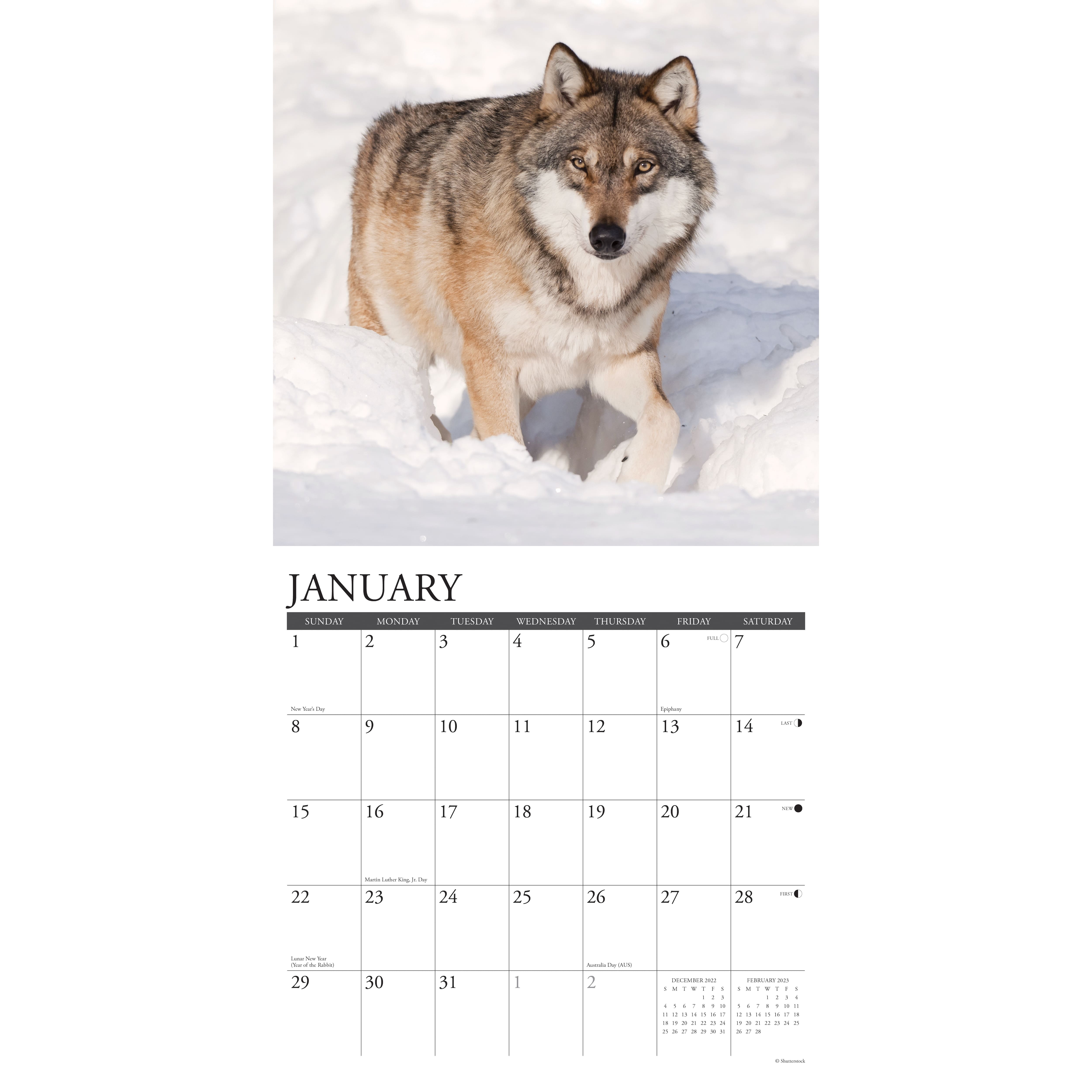 2023 Spirit of the Wolf Wall Calendar Wall Calendars Michaels