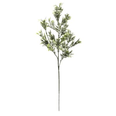 Buy in Bulk - 16 Pack: Dusty Miller Stem by Ashland® | Michaels