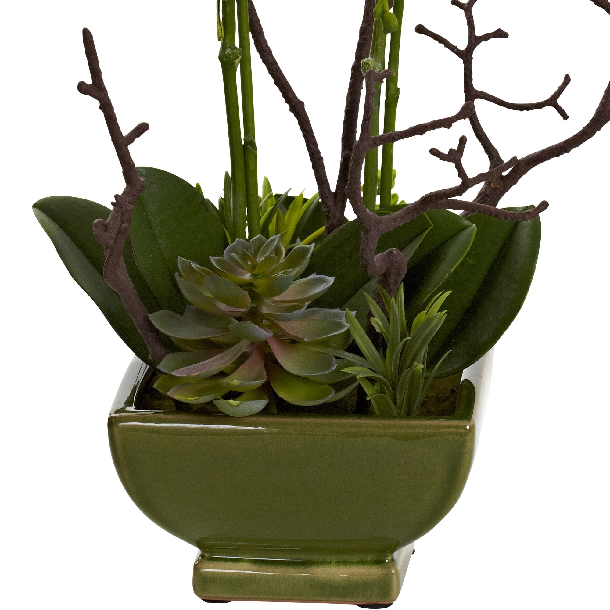 21&#x22; Orchid &#x26; Succulent Floral Arrangement in Ceramic Pot