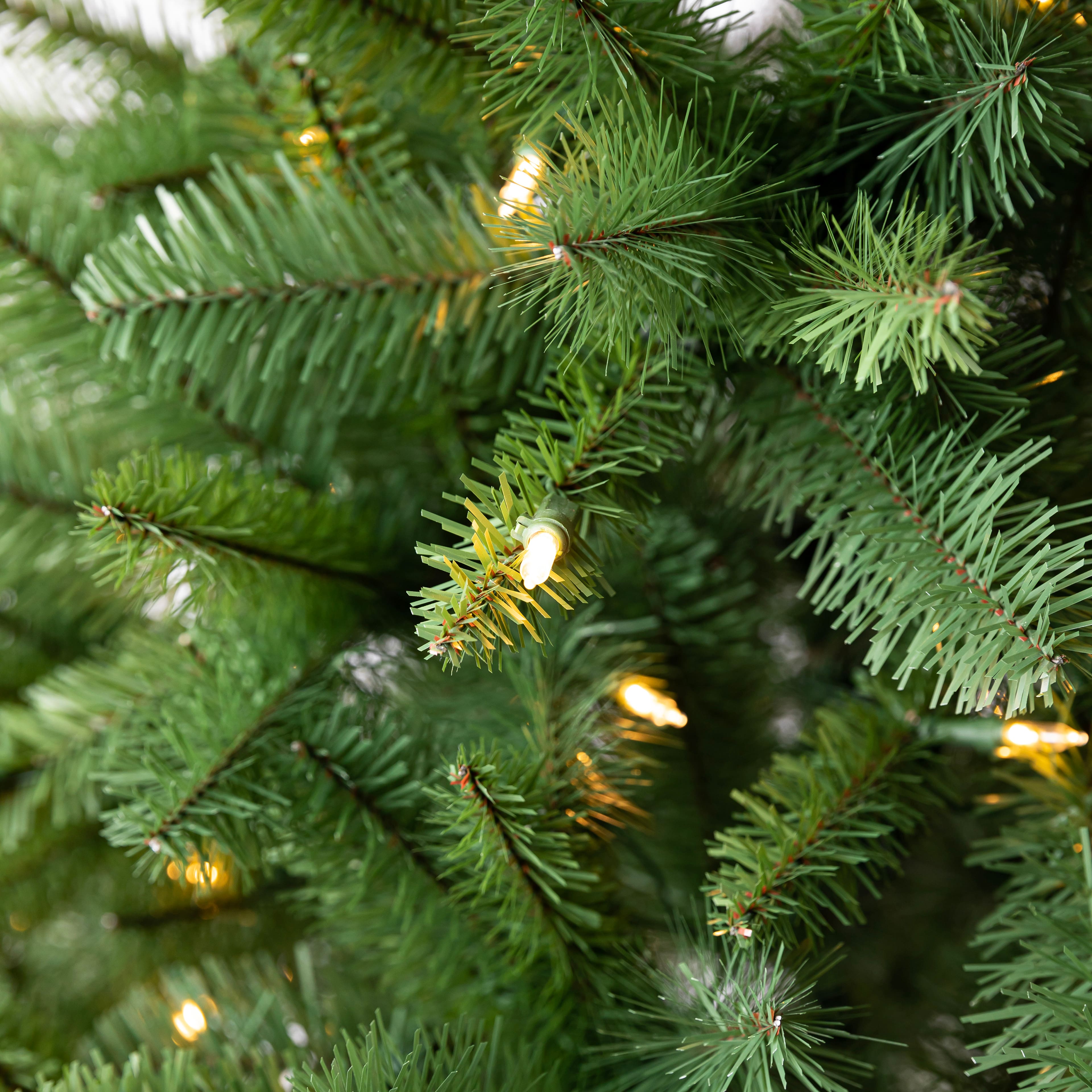 6ft. Pre-Lit Windham Spruce Artificial Christmas Tree, Warm White LED Lights by Ashland&#xAE;