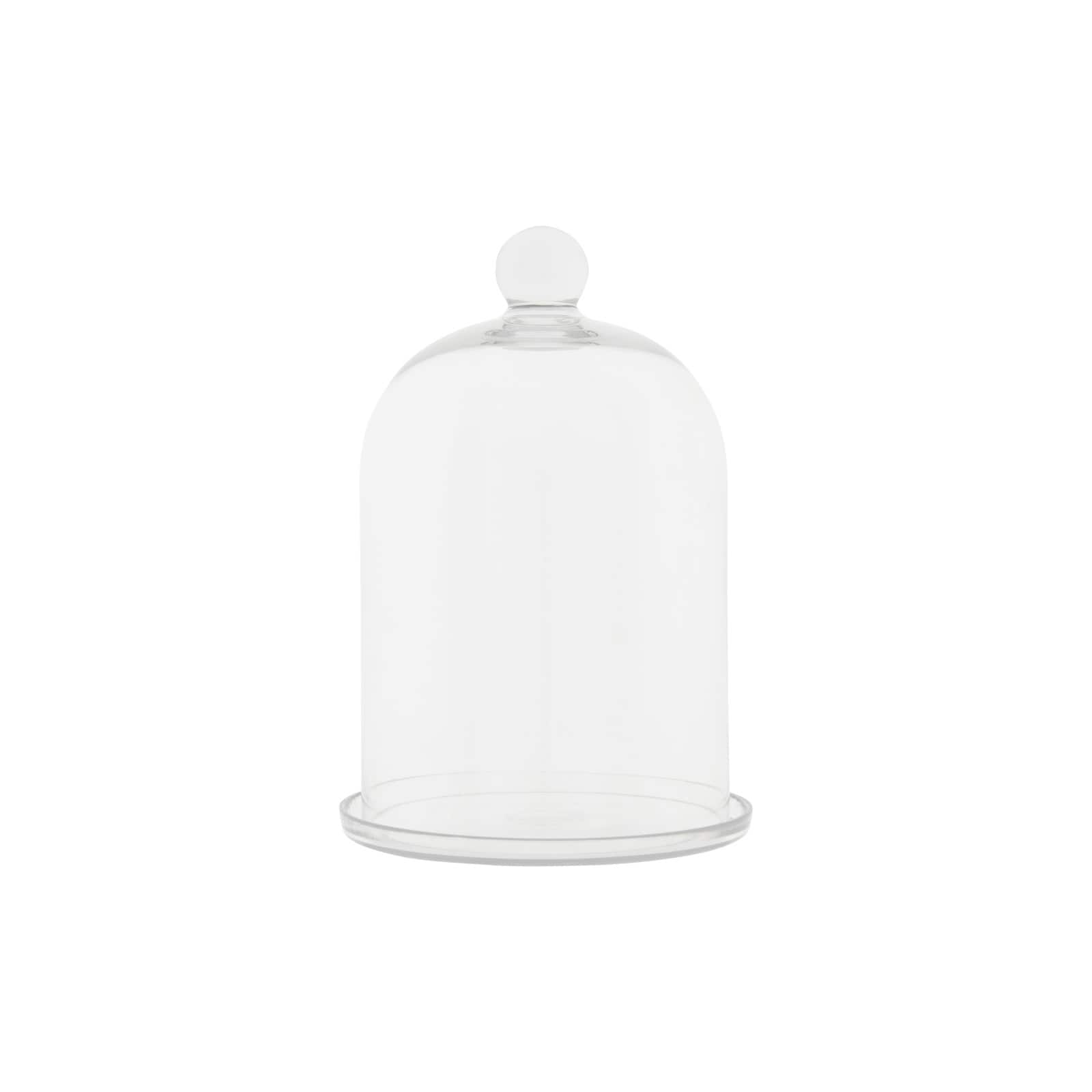 Hello Honey® Glass Cloche with Clear Glass Plate Set
