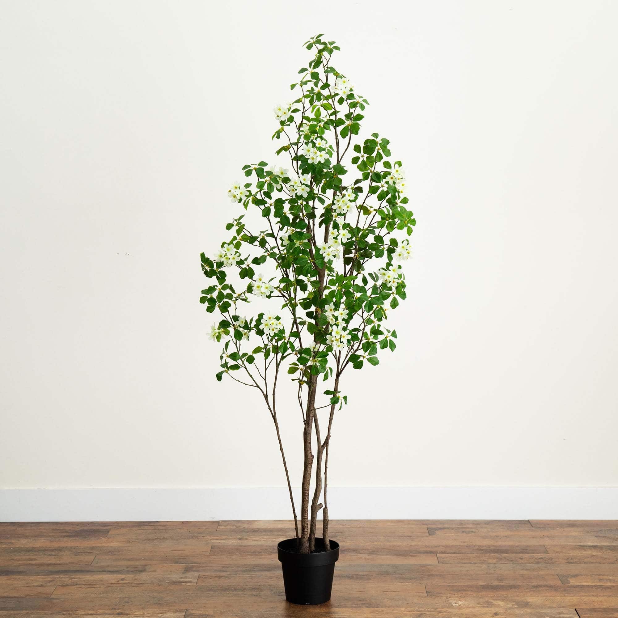 6ft. Potted Dogwood Tree with Real Touch Leaves