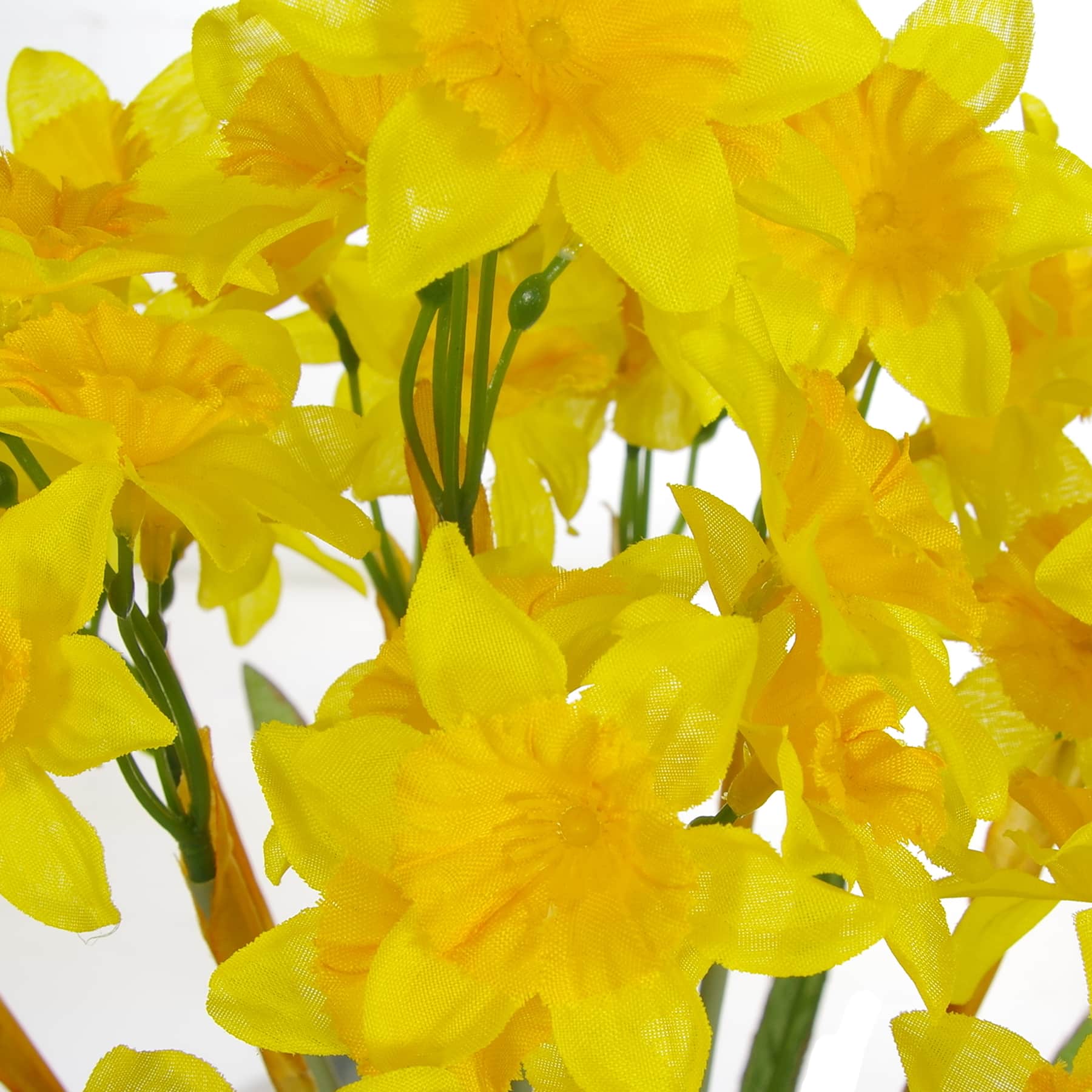 Yellow Narcissus Bush by Ashland&#xAE;