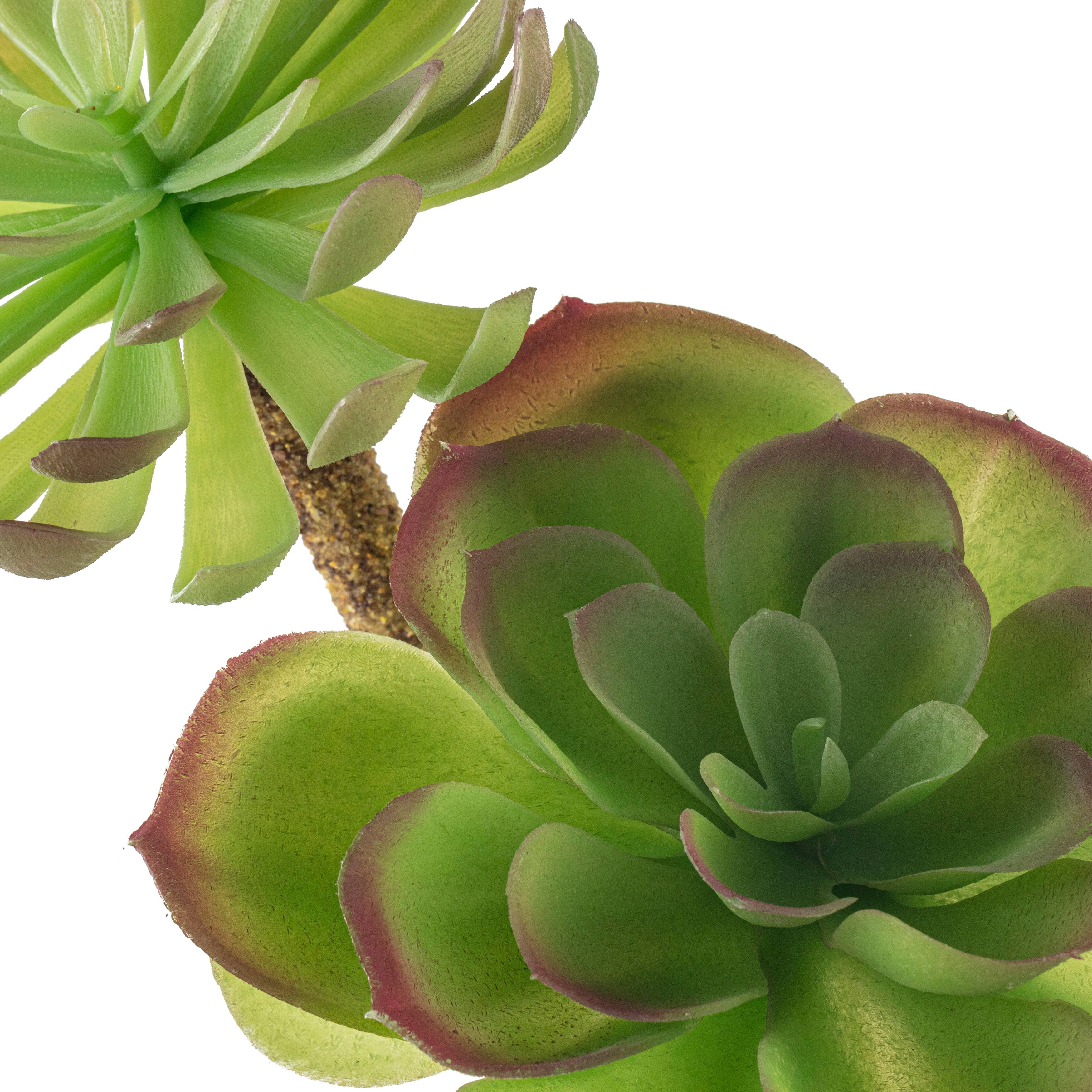 12 Pack: Assorted Red Tipped Succulent Pick by Ashland&#xAE;