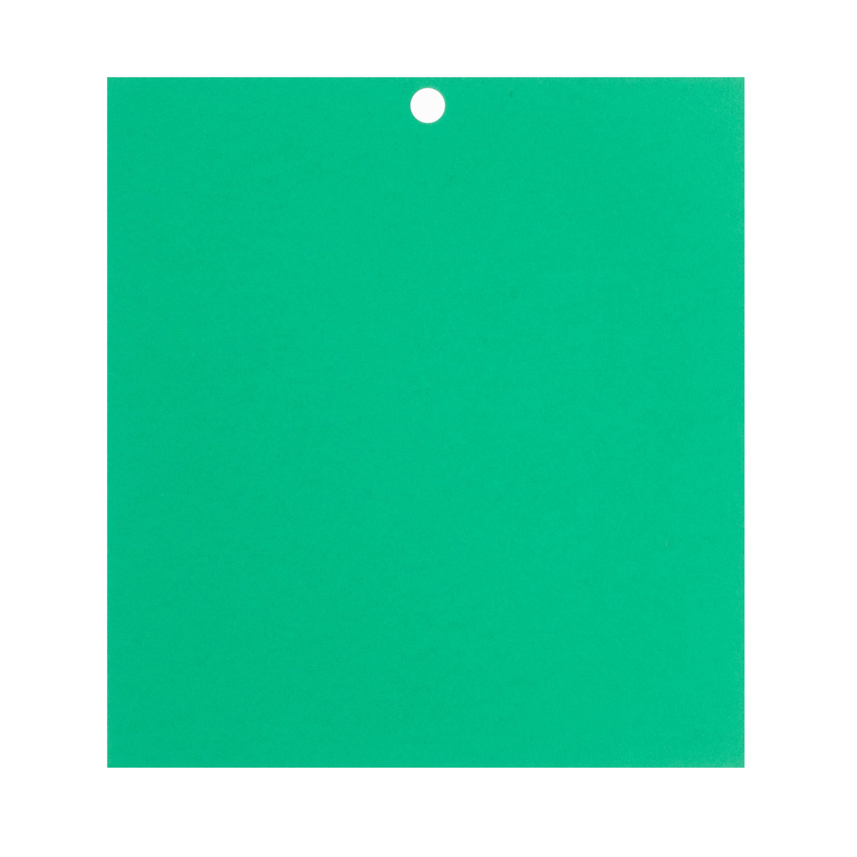 Feathered Green 6" x 6.5" Cardstock Paper by Recollections™, 100 Sheets