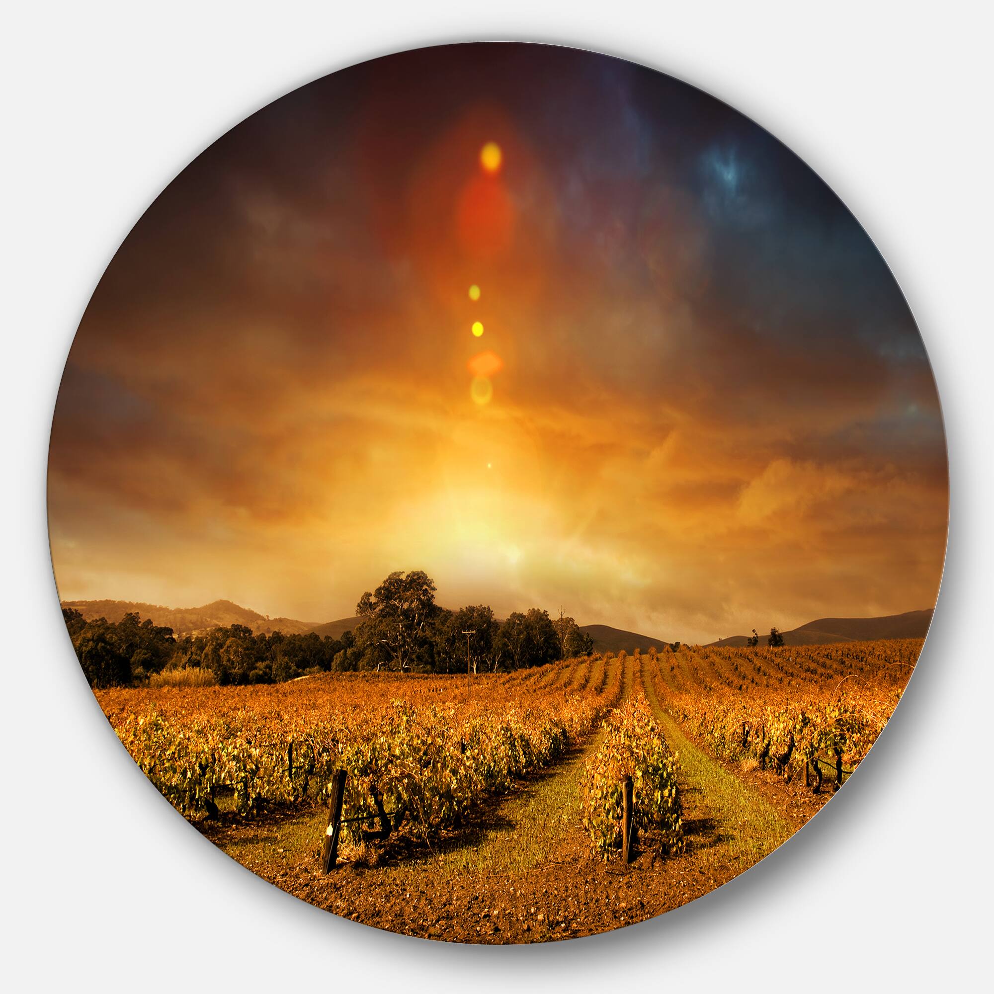 Designart - Yellow Autumn Vineyard Sunset' Landscape Metal Circle Wall Art